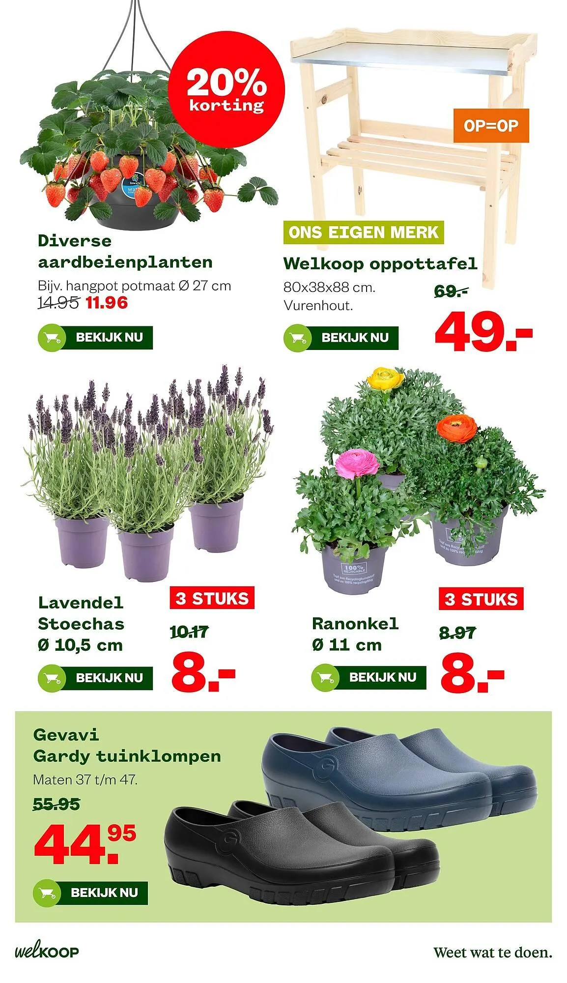 Welkoop folder van 16 maart tot 29 maart 2026 - Folder pagina 9