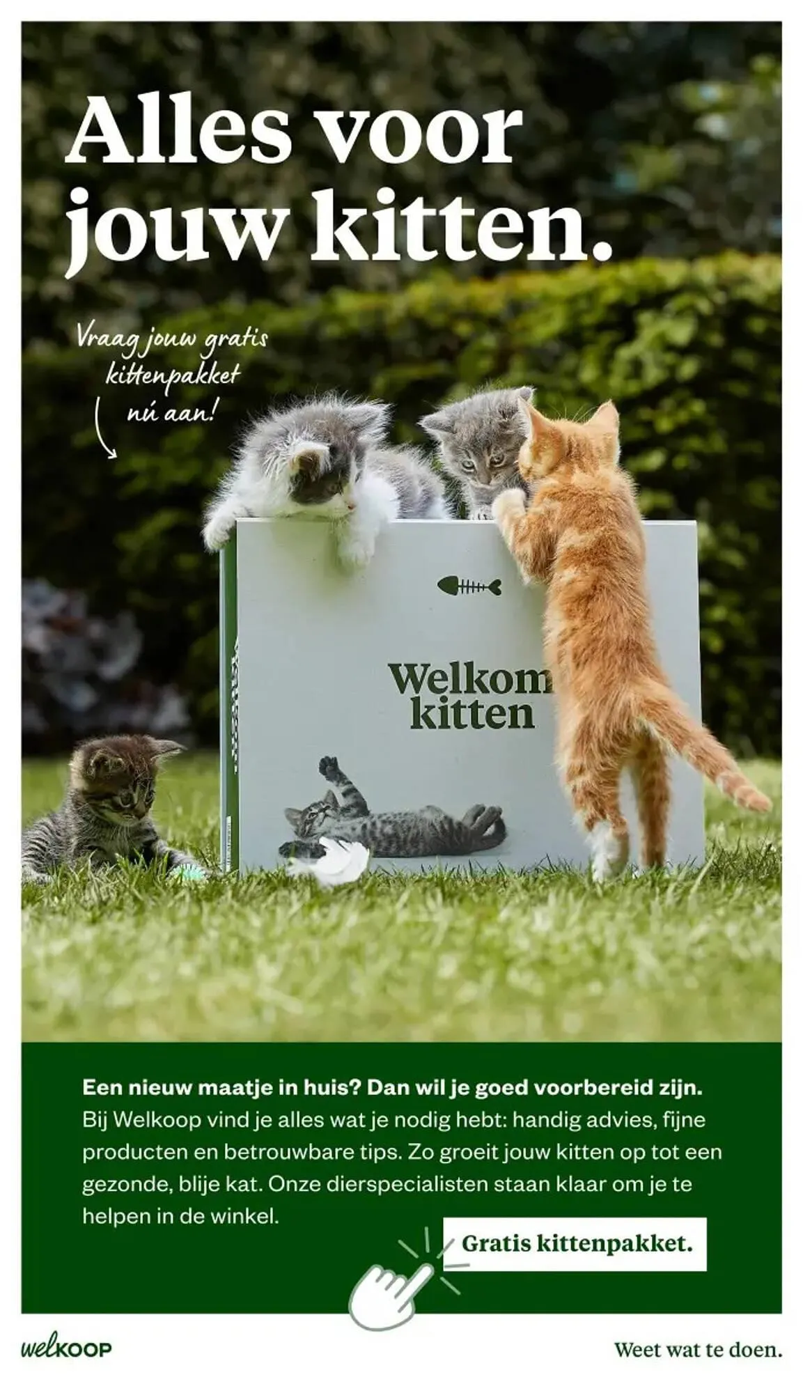 Welkoop folder van 20 oktober tot 9 november 2025 - Folder pagina 24