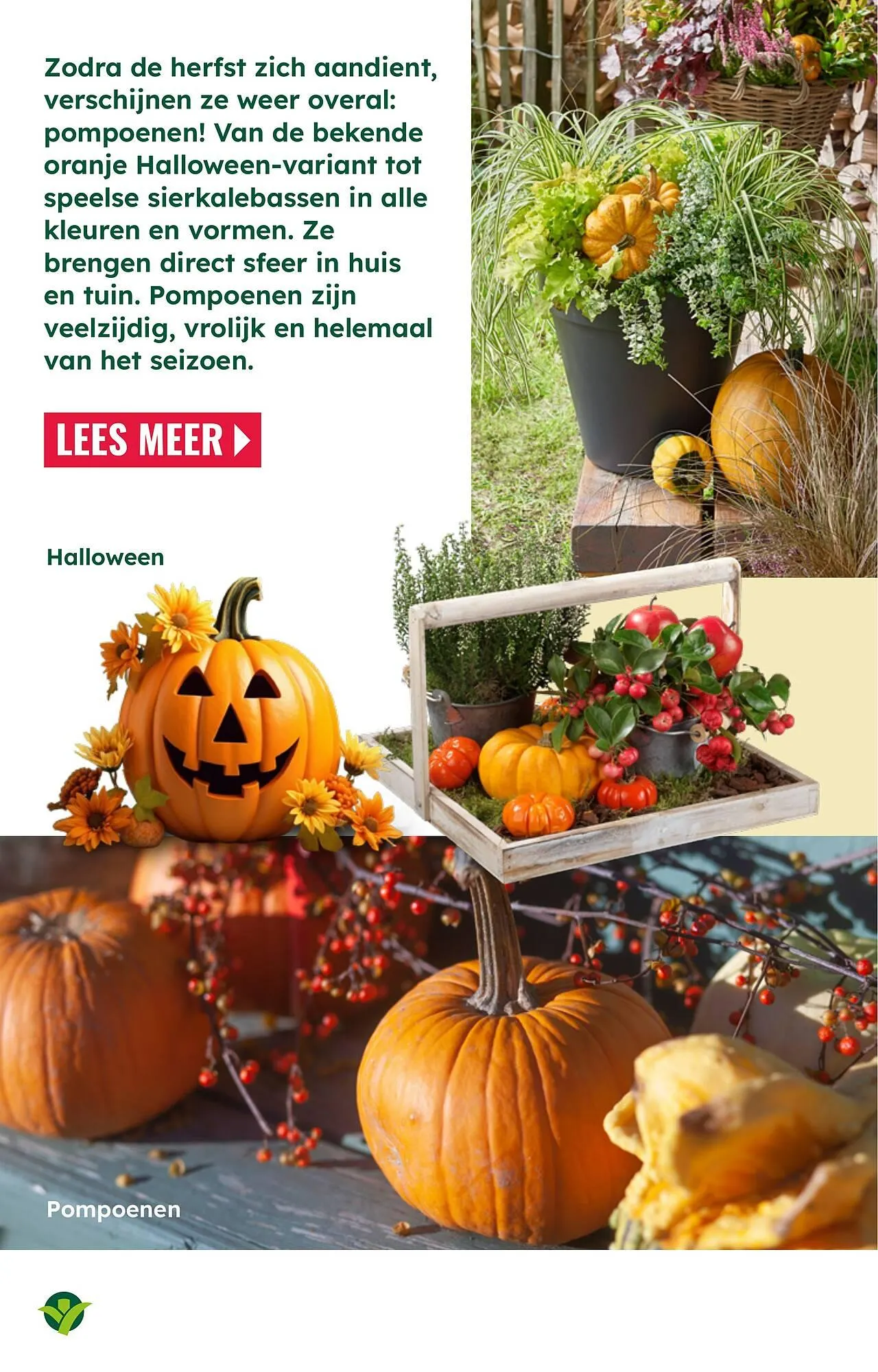 GroenRijk folder van 26 augustus tot 21 december 2025 - Folder pagina 9