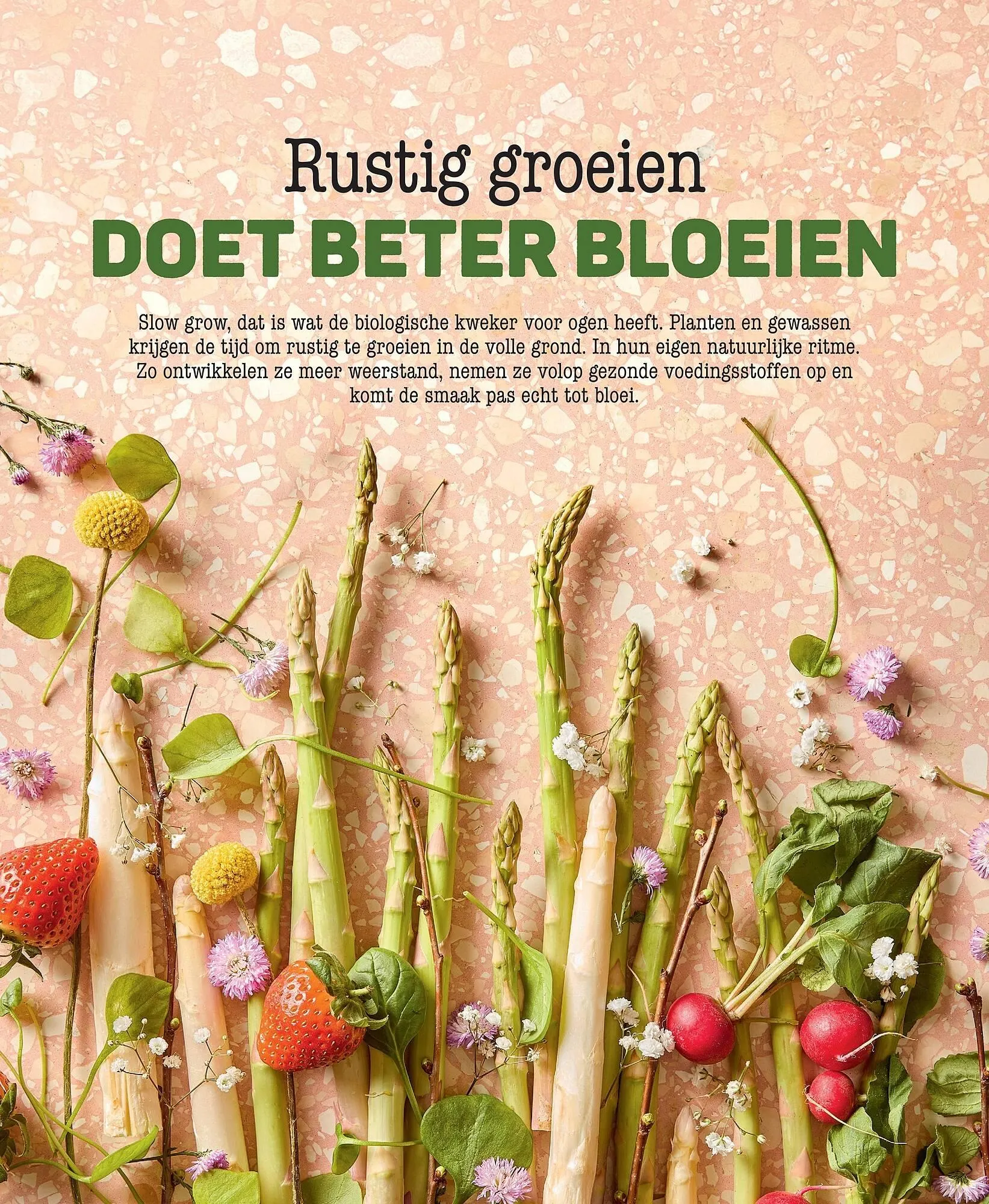 Ekoplaza magazine van 18 maart tot 21 mei 2026 - Folder pagina 8
