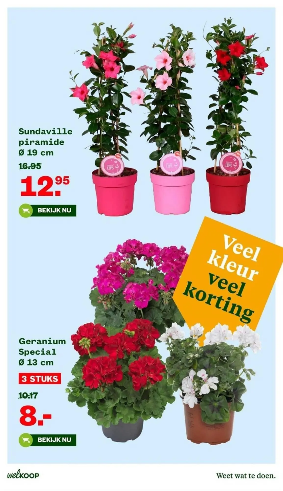 Welkoop folder van 22 april tot 5 mei 2024 - Folder pagina 3