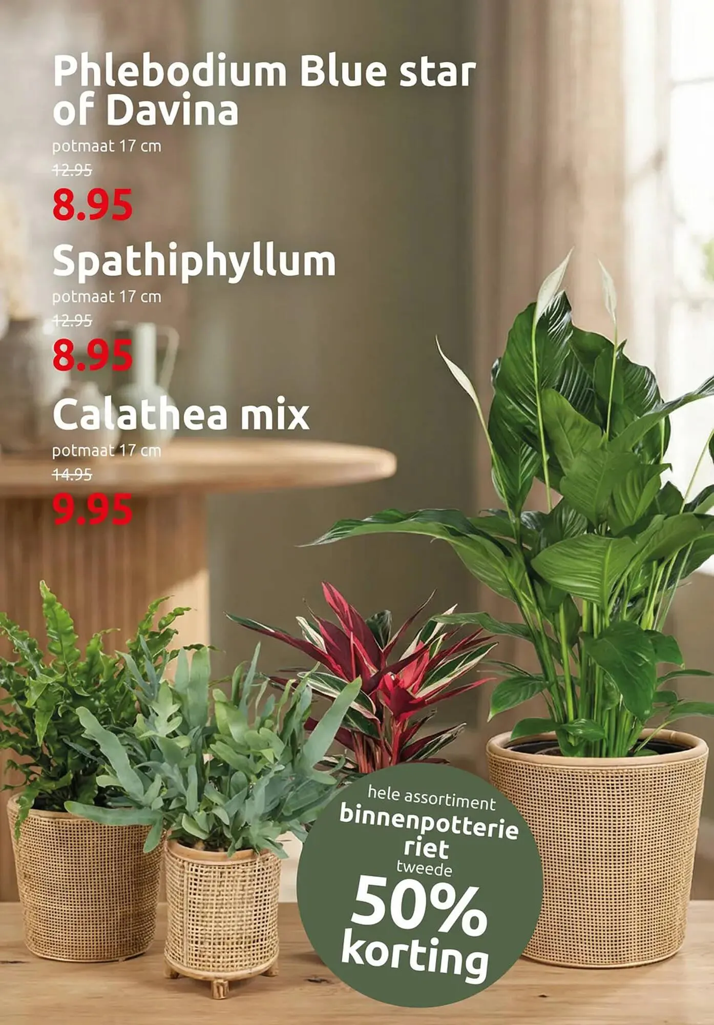 Deka Tuin folder van 2 februari tot 15 februari 2026 - Folder pagina 2