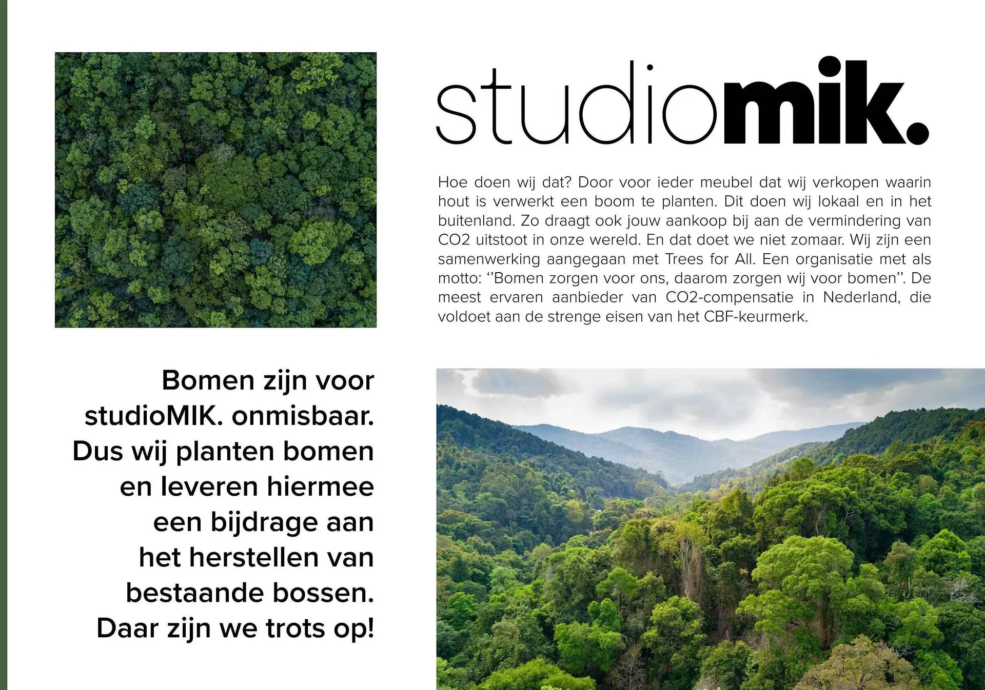 Donjon folder van 1 maart tot 29 februari 2024 - Folder pagina 259