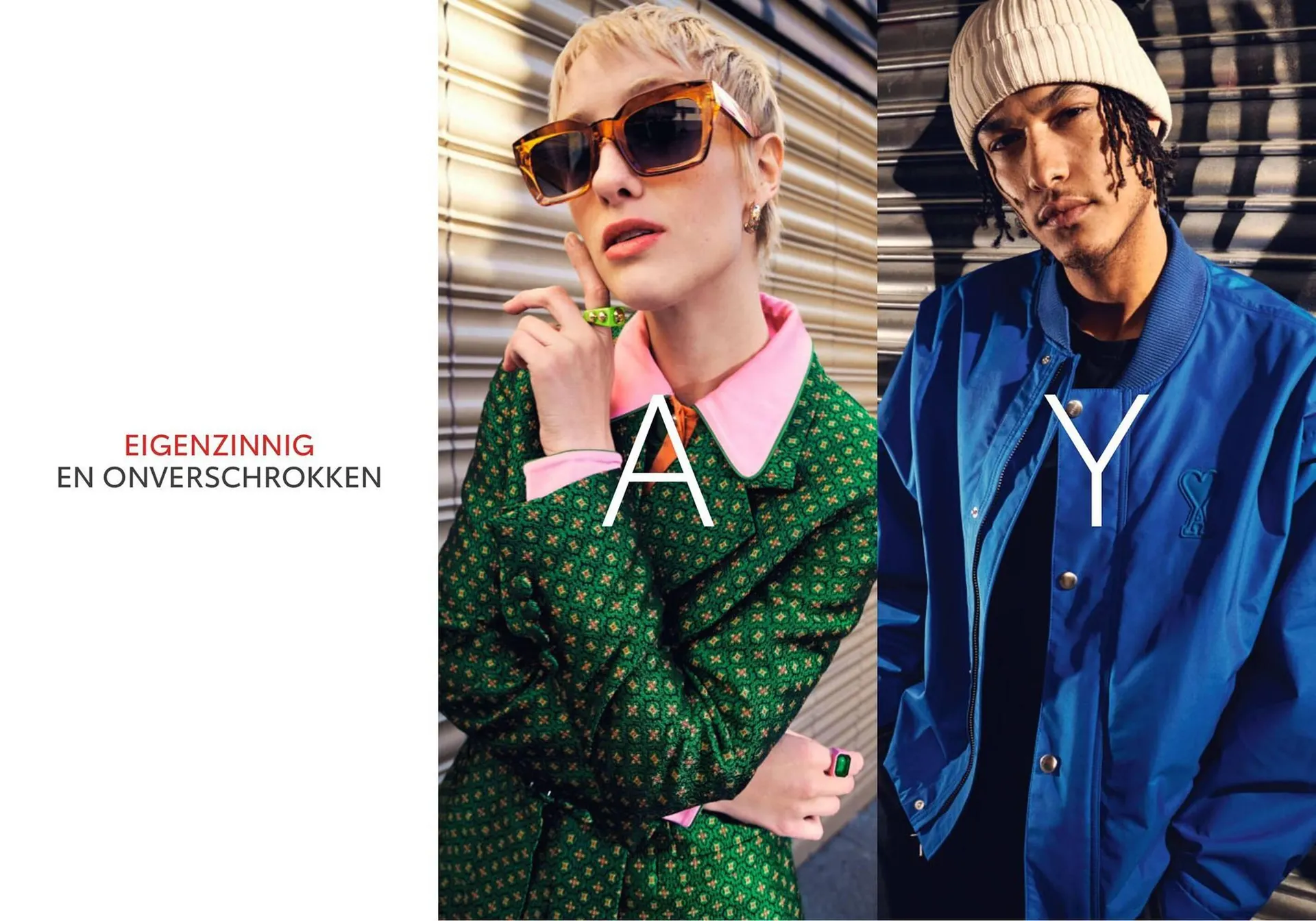 Toyota folder van 2 februari tot 31 december 2024 - Folder pagina 2