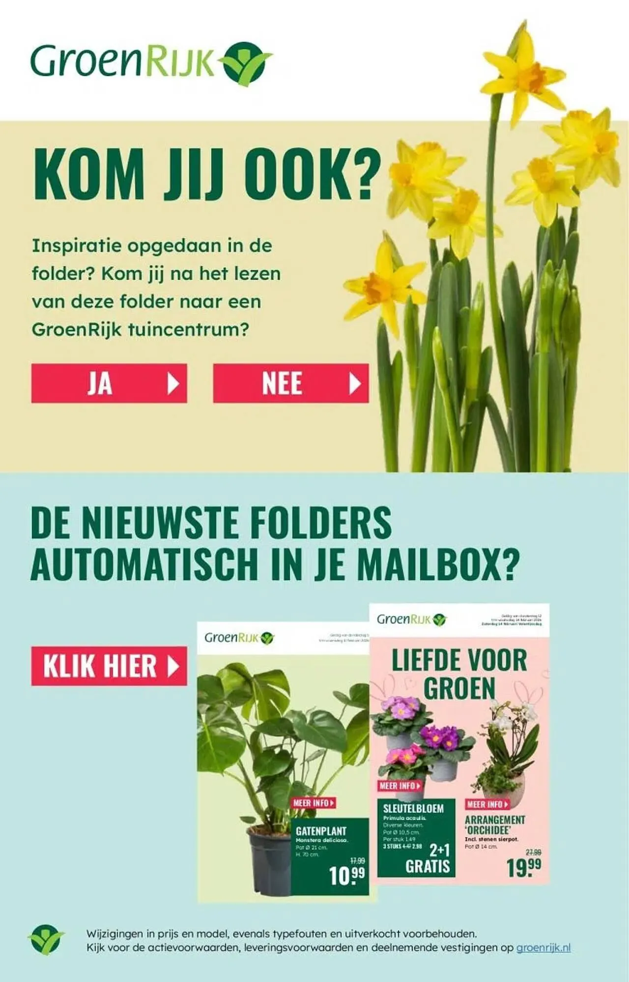 GroenRijk folder van 5 maart tot 11 maart 2026 - Folder pagina 19