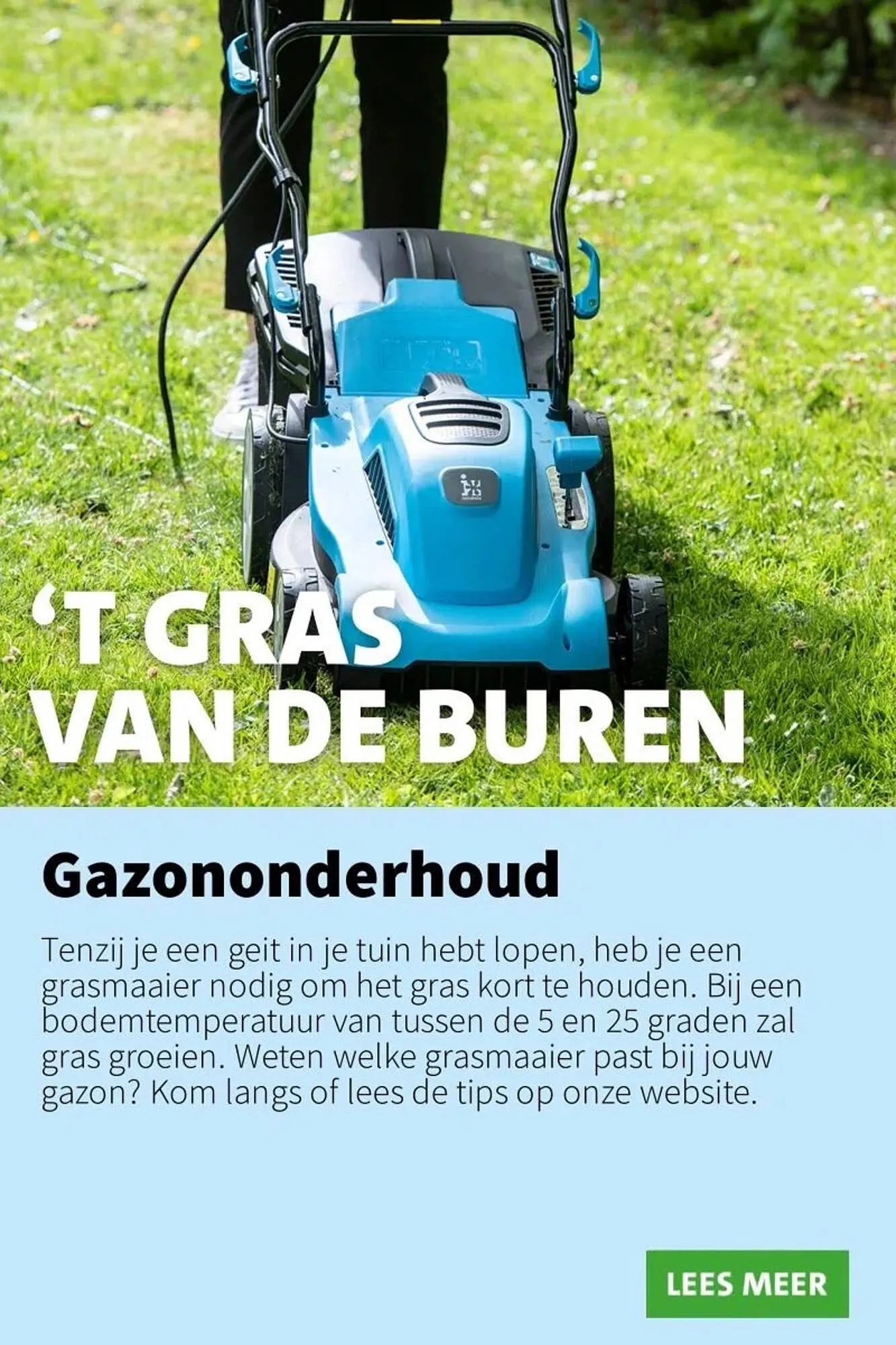 Intratuin folder van 14 juli tot 20 juli 2025 - Folder pagina 4