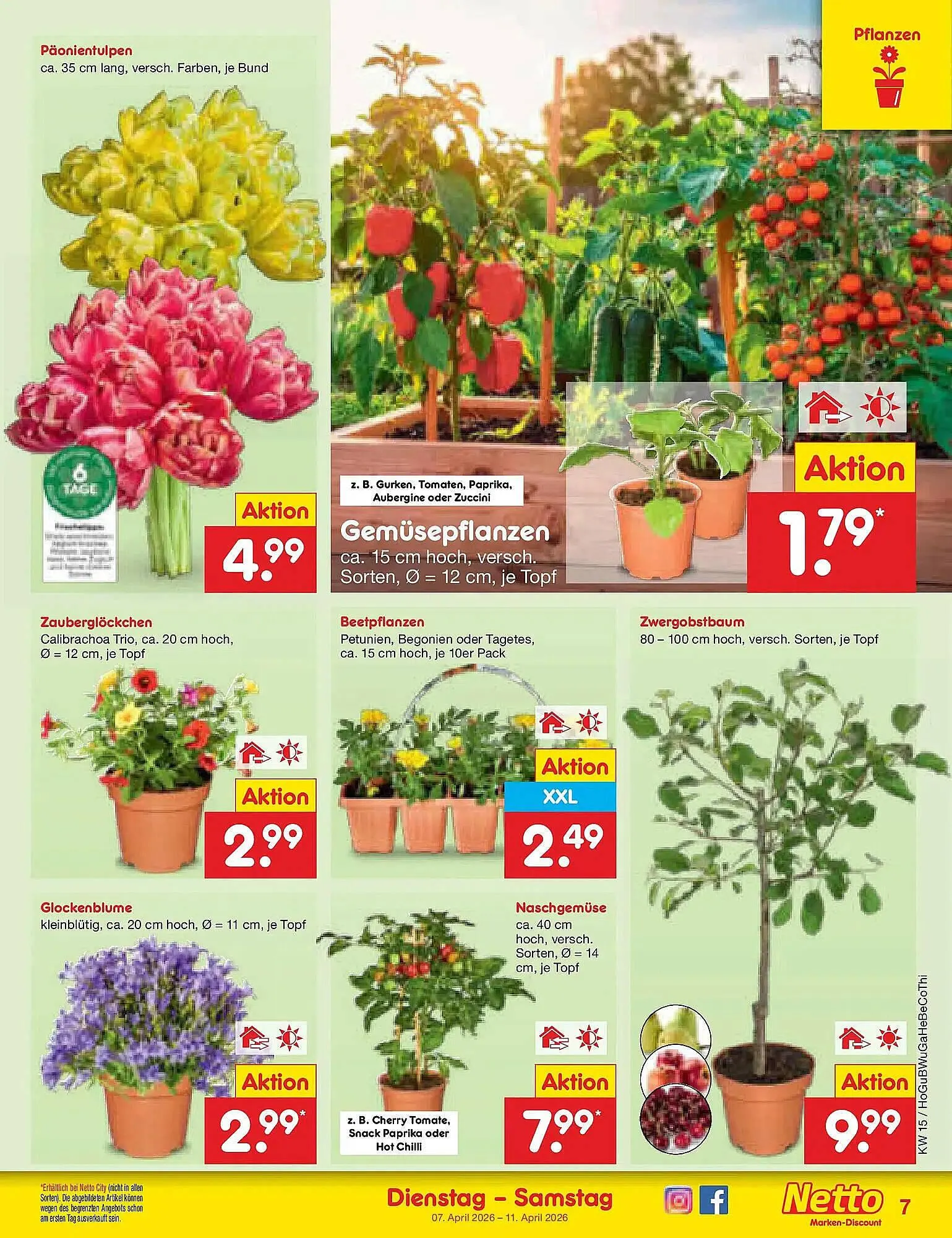 Netto Marken-Discount DE folder van 5 april tot 11 april 2026 - Folder pagina 9