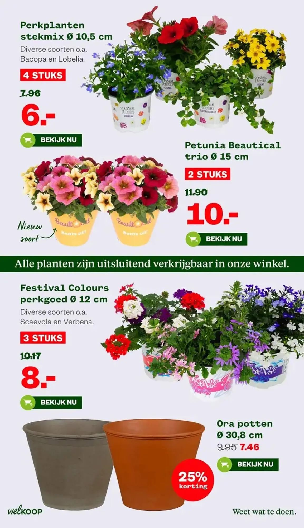 Welkoop folder van 12 mei tot 25 mei 2025 - Folder pagina 7