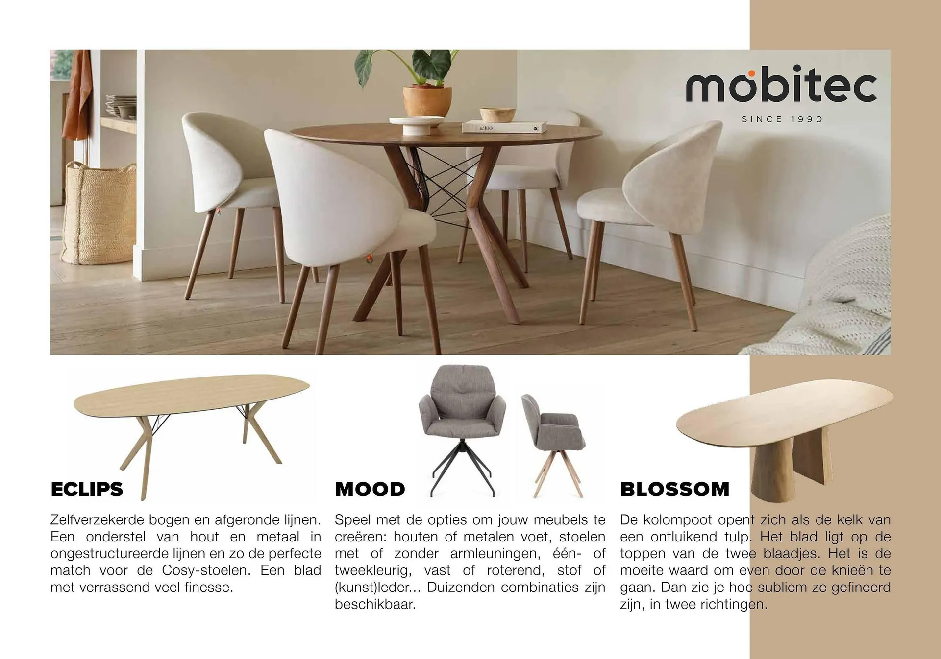 Donjon folder van 1 maart tot 29 februari 2024 - Folder pagina 245