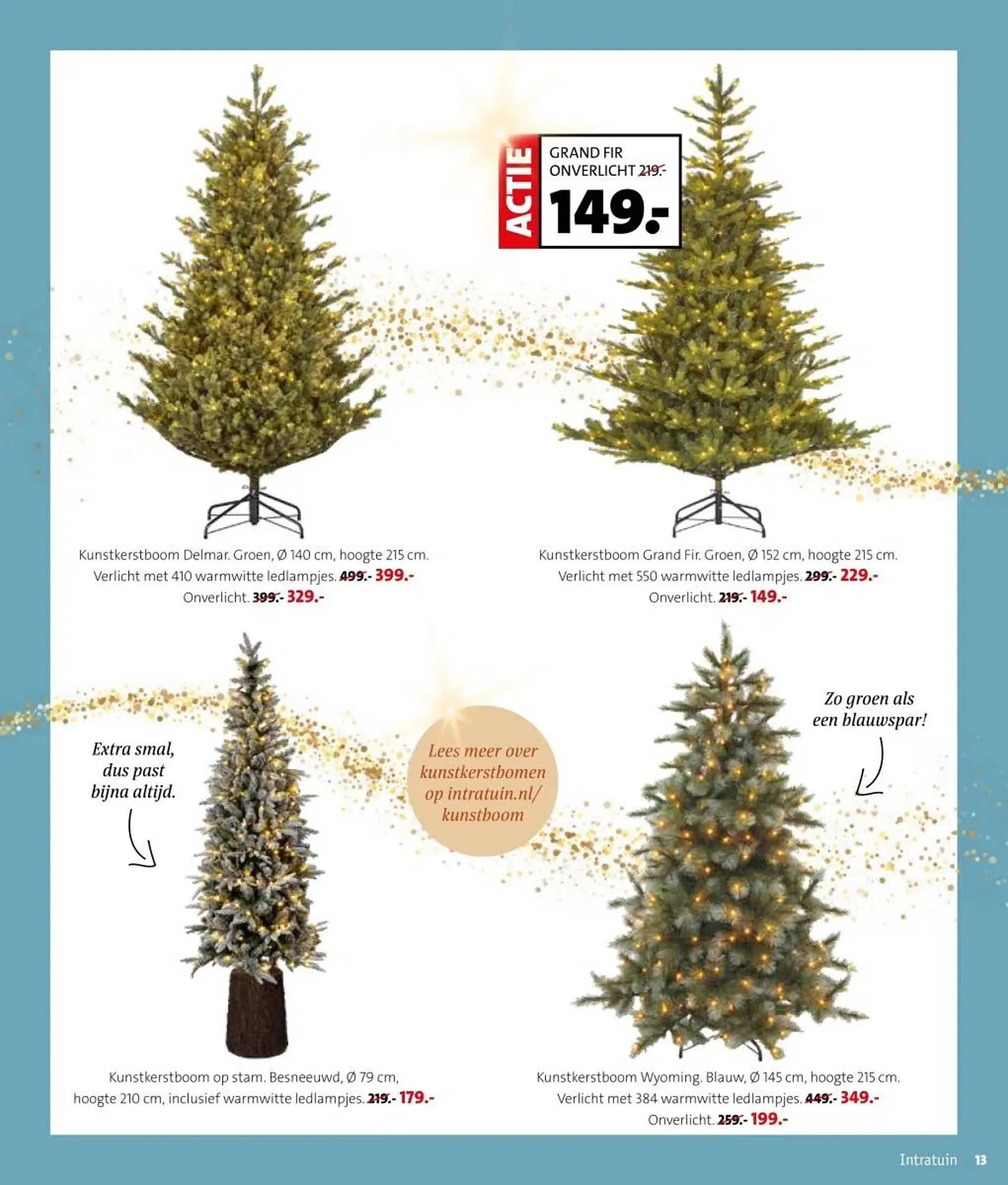 Intratuin folder van 17 november tot 23 november 2025 - Folder pagina 13