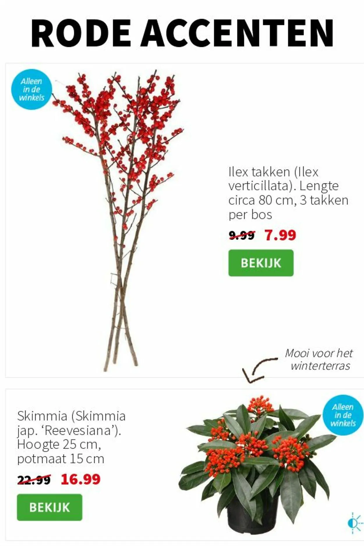 Intratuin Actuele folder van 9 februari tot 23 februari 2025 - Folder pagina 2