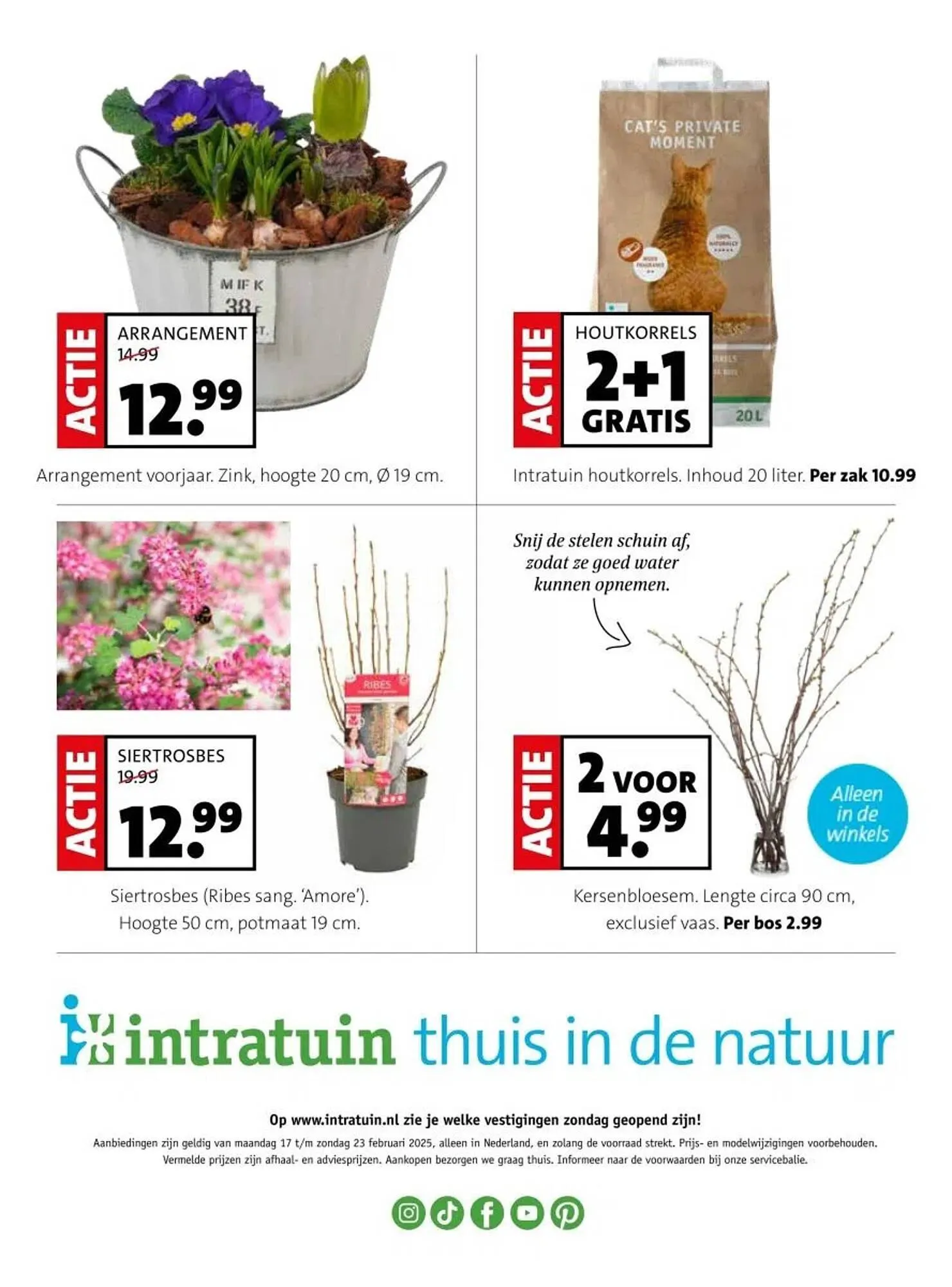 Intratuin folder van 17 februari tot 23 februari 2025 - Folder pagina 20