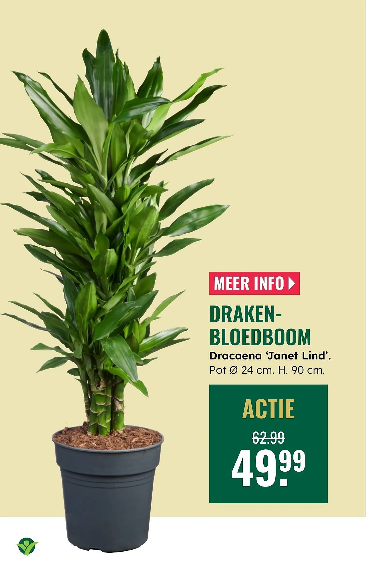 GroenRijk folder van 12 februari tot 18 februari 2026 - Folder pagina 8