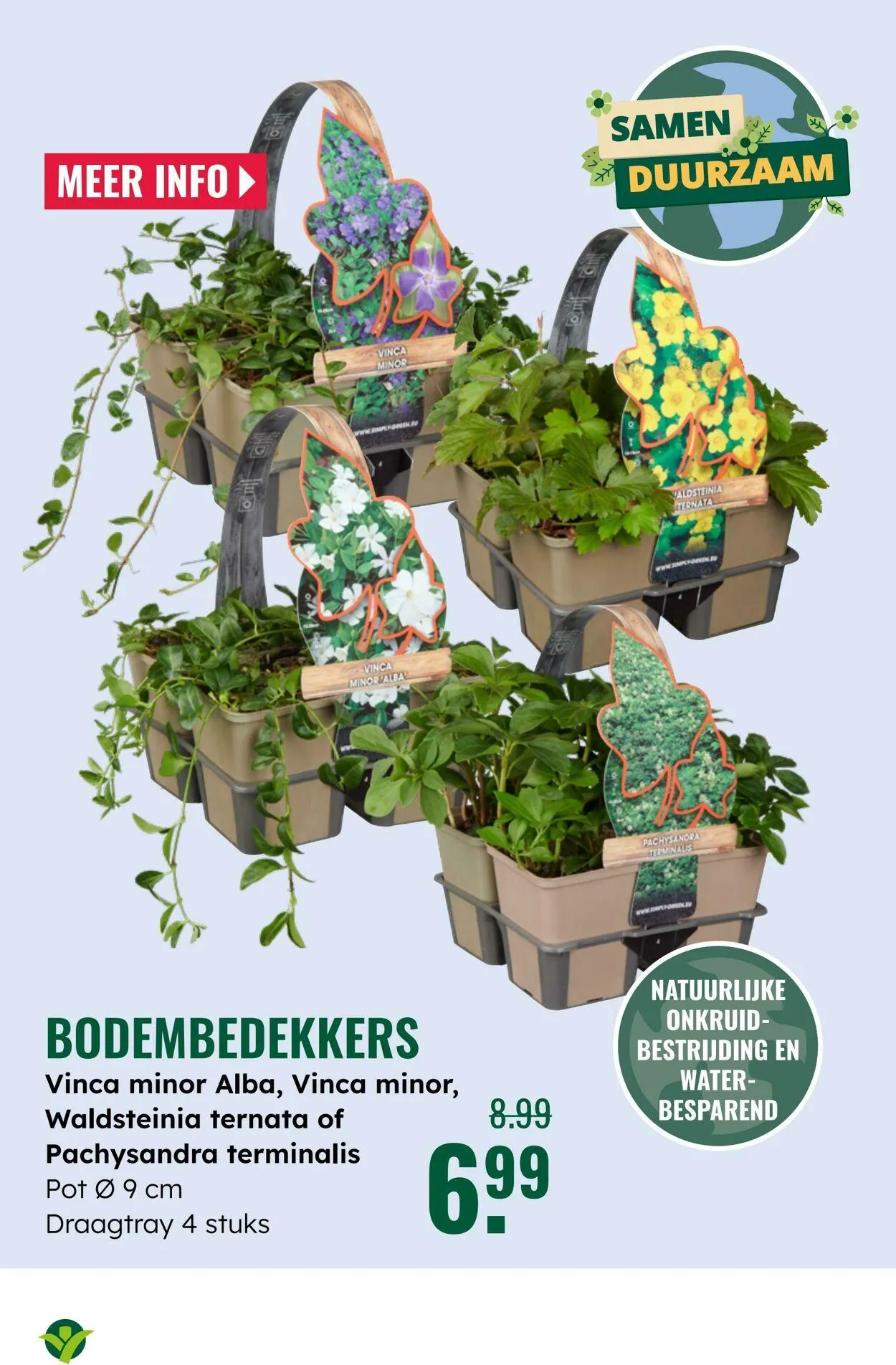 GroenRijk Actuele folder van 10 juni tot 24 juni 2025 - Folder pagina 16