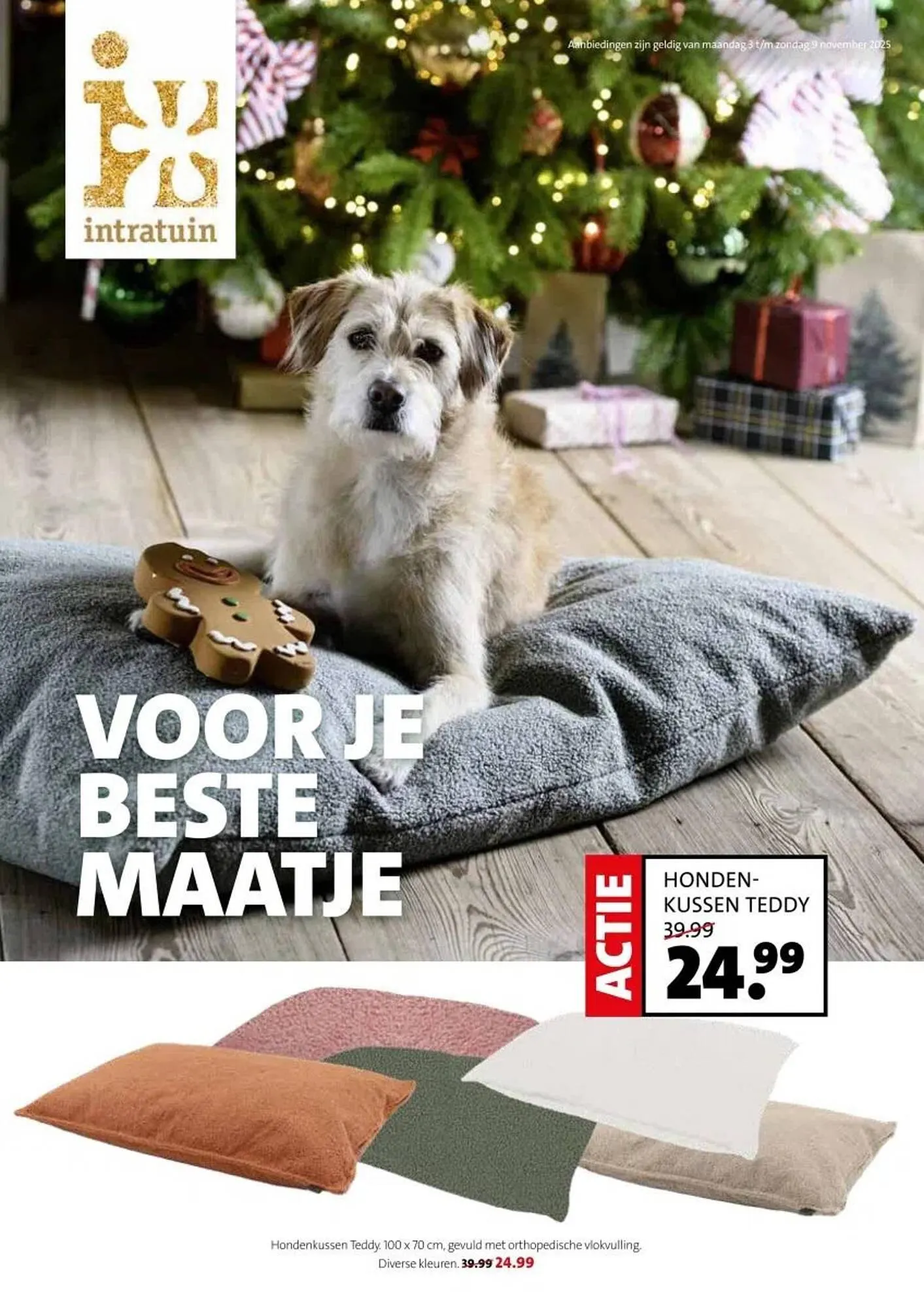 Intratuin folder - 1