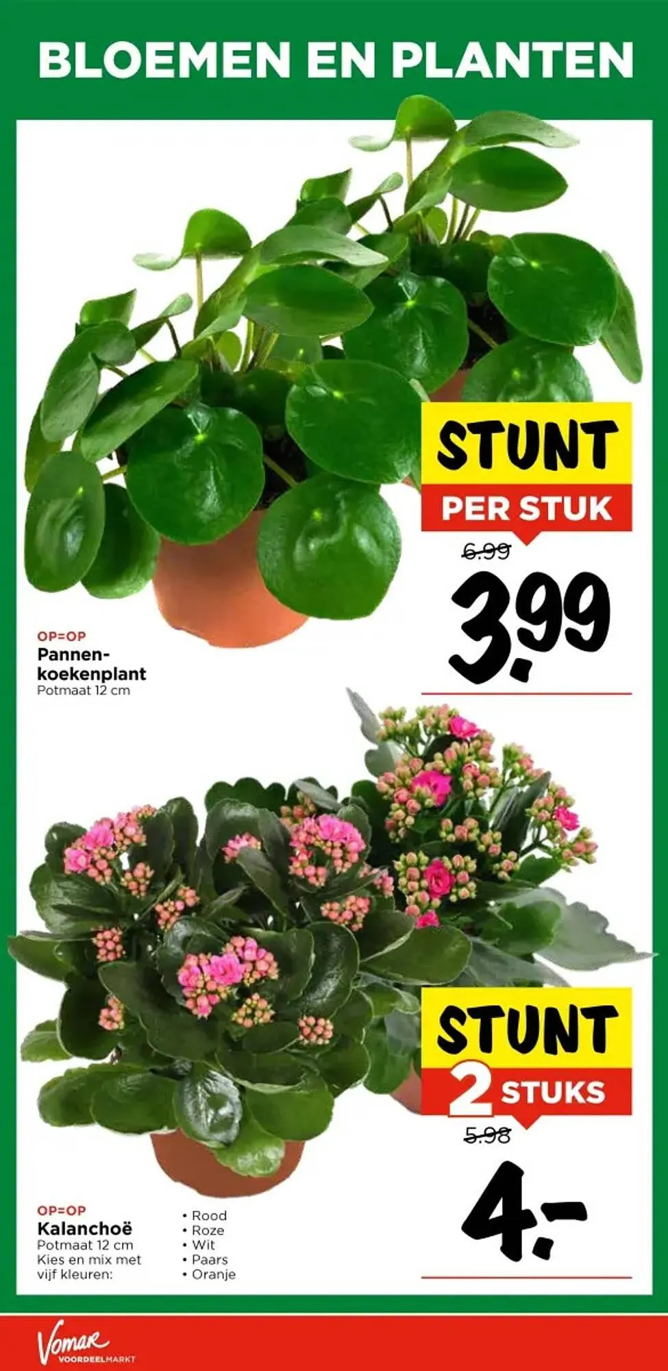 Vomar Voordeelmarkt folder van 5 november tot 8 november 2025 - Folder pagina 36