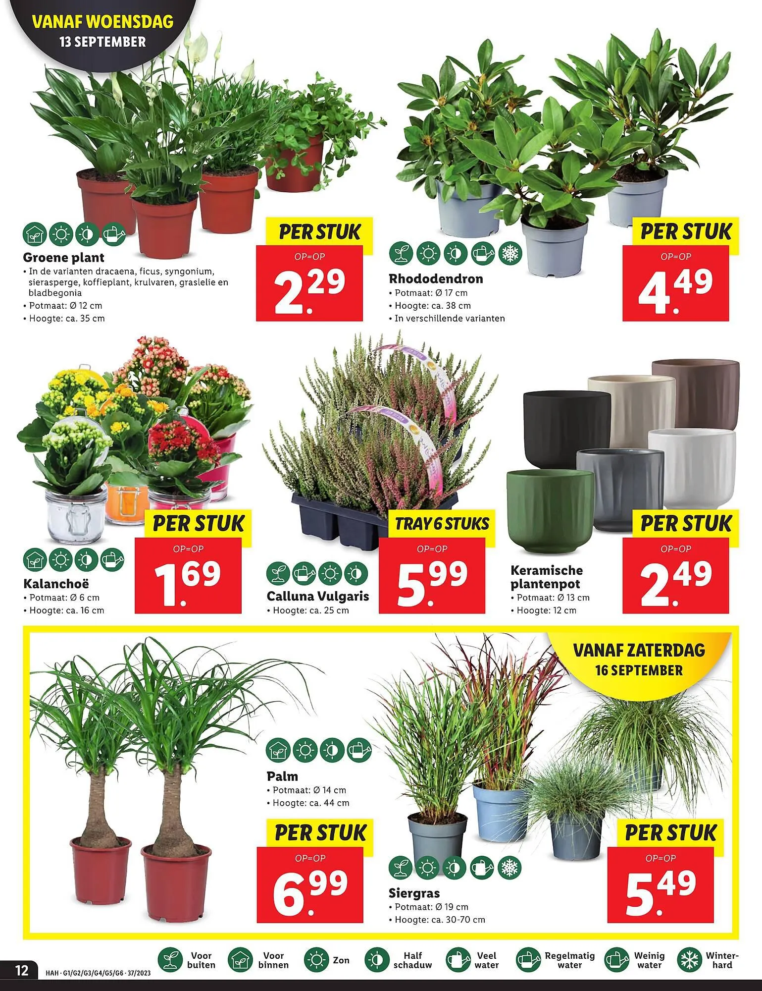 Lidl folder van 11 september tot 17 september 2023 - Folder pagina 12