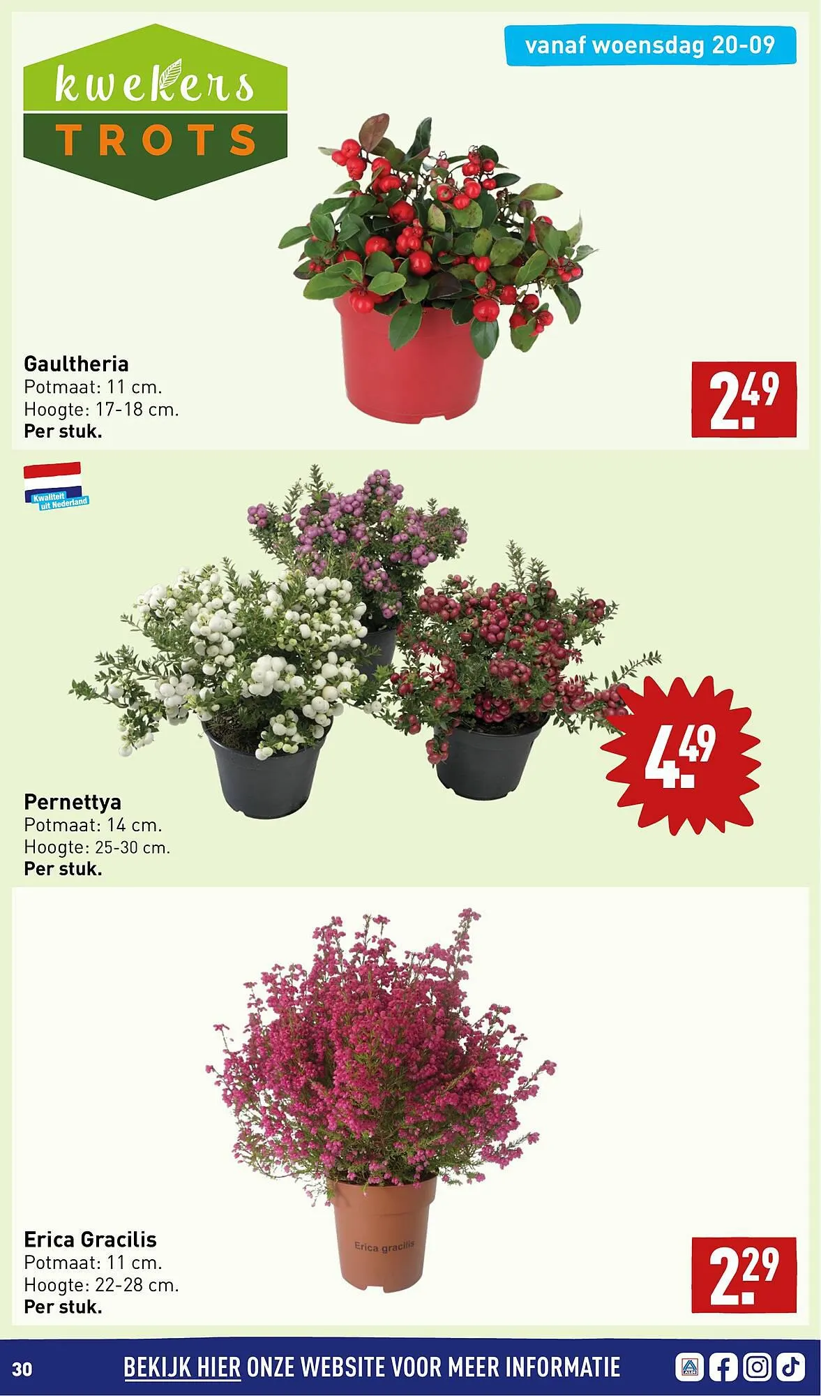 ALDI folder van 18 september tot 24 september 2023 - Folder pagina 30