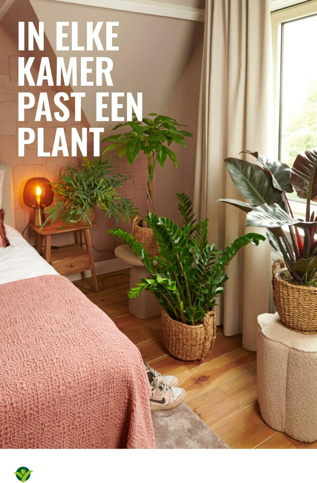 GroenRijk Actuele folder van 5 augustus tot 19 augustus 2025 - Folder pagina 24