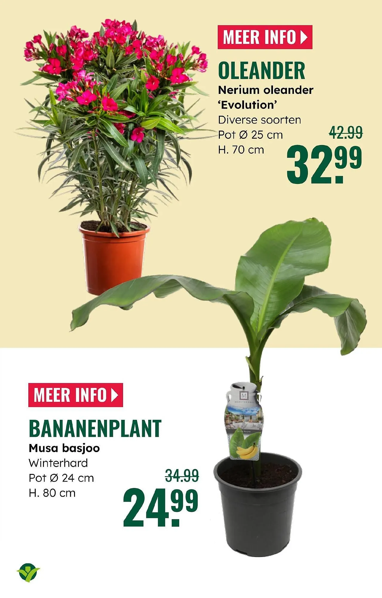 GroenRijk folder van 4 juni tot 17 juni 2025 - Folder pagina 17