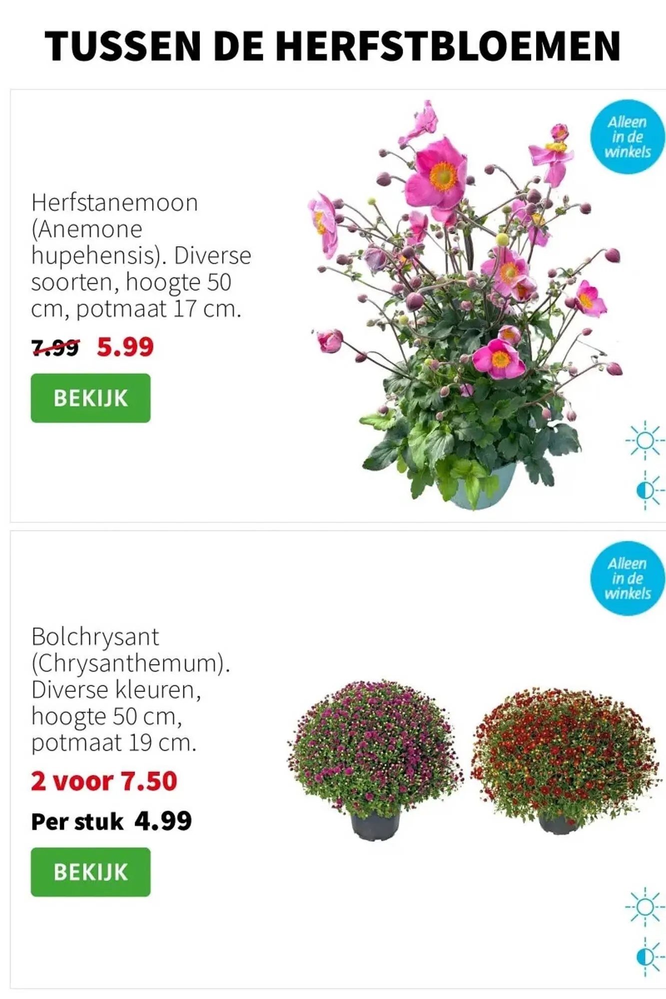 Intratuin folder van 1 september tot 7 september 2025 - Folder pagina 6