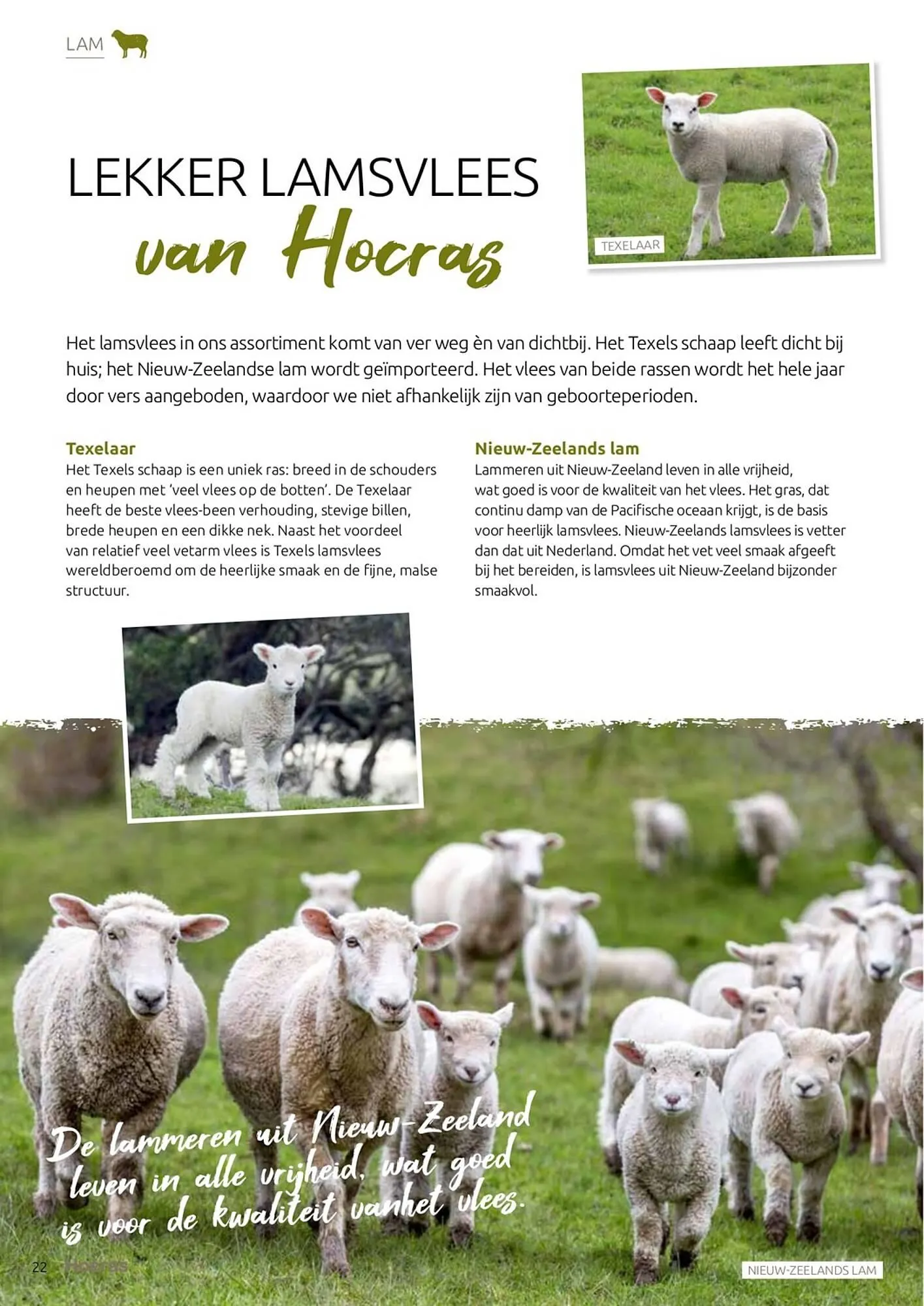 Hocras Vlees folder van 15 februari tot 31 december 2023 - Folder pagina 22