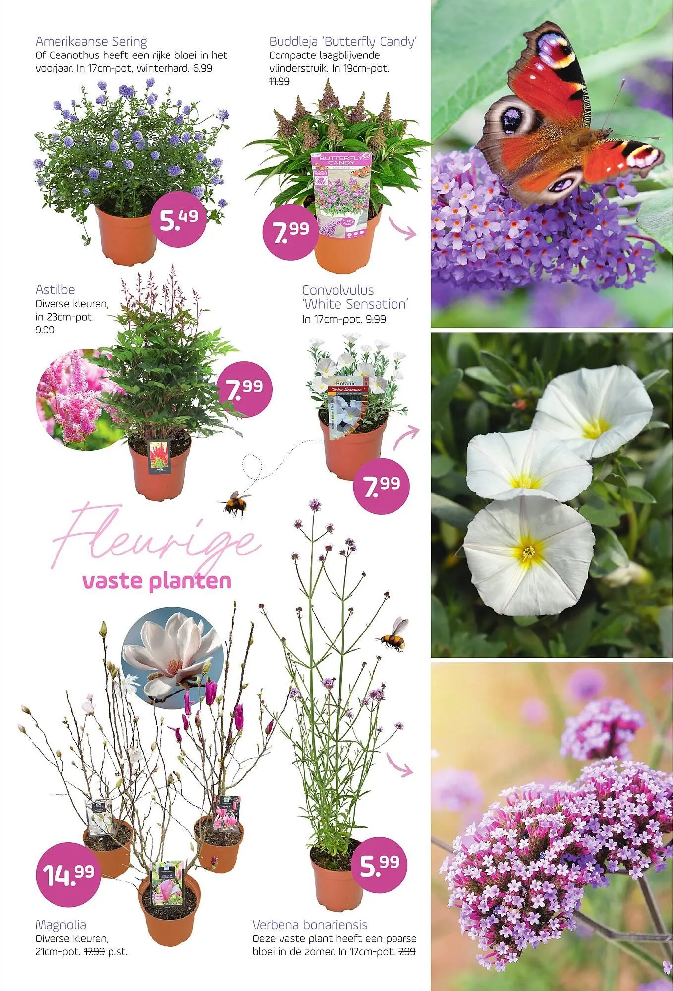 Coppelmans folder van 15 april tot 27 april 2026 - Folder pagina 3