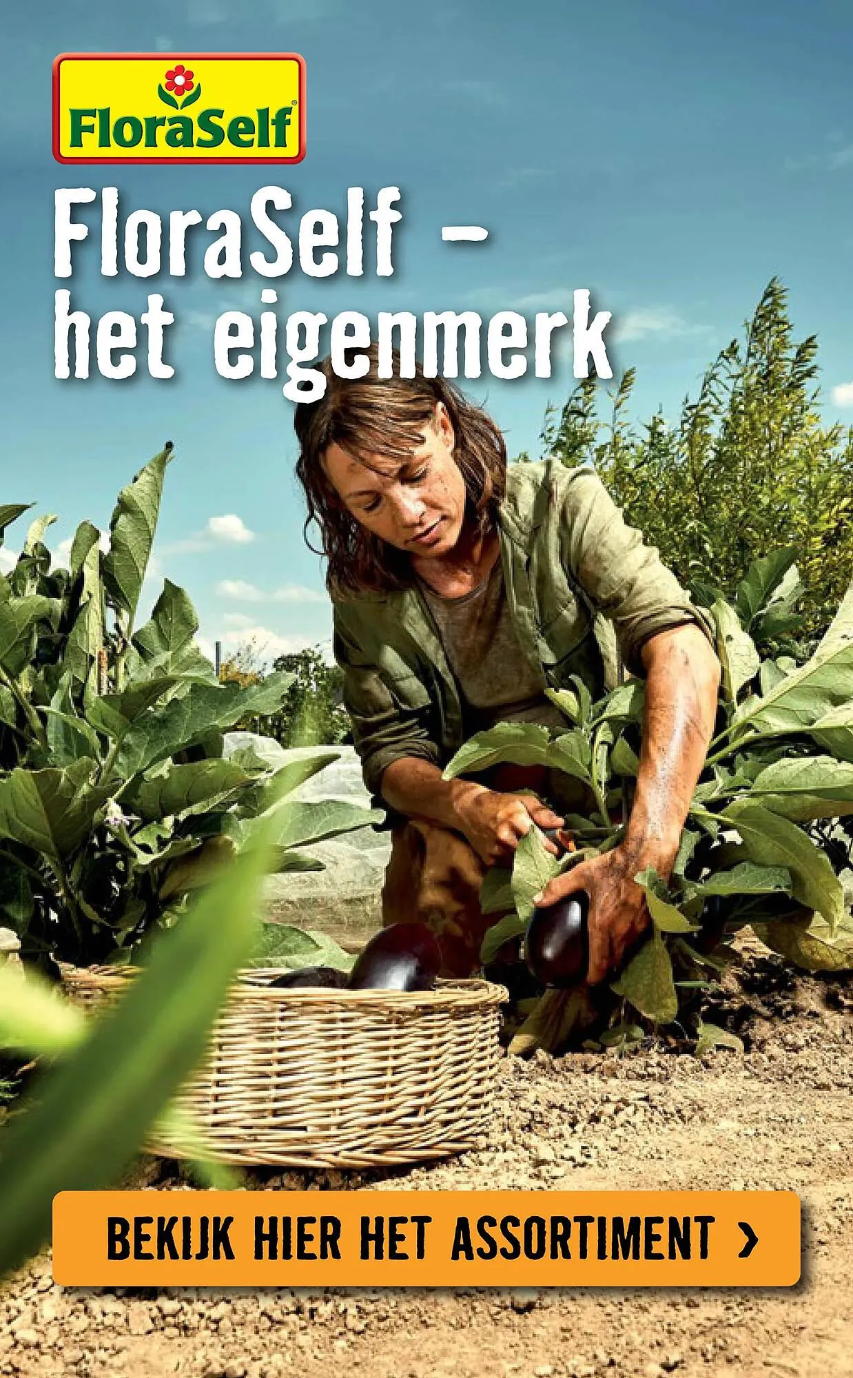 Hornbach folder van 6 april tot 3 mei 2026 - Folder pagina 6