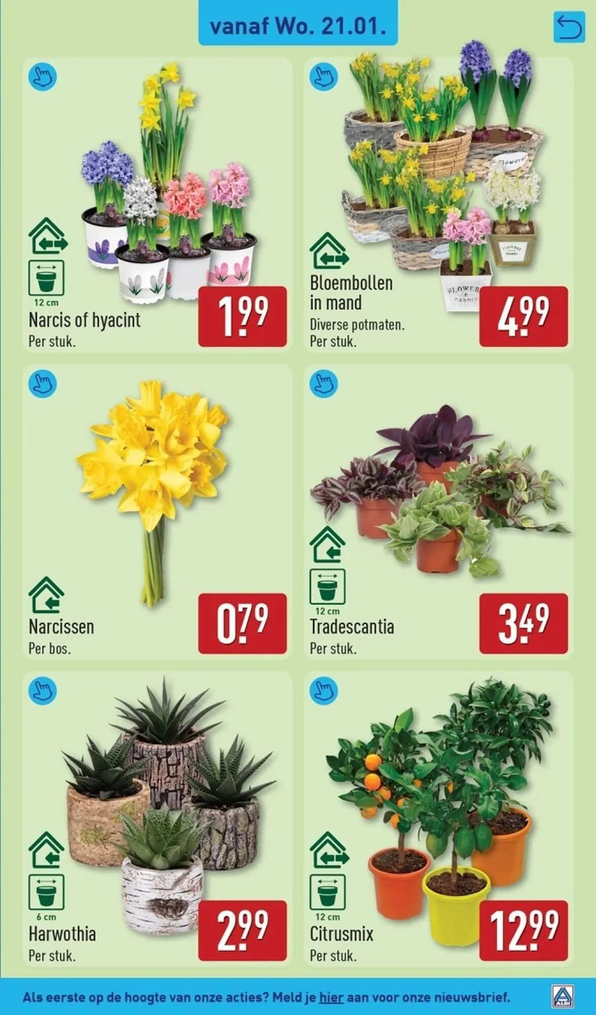 ALDI folder van 19 januari tot 25 januari 2026 - Folder pagina 27