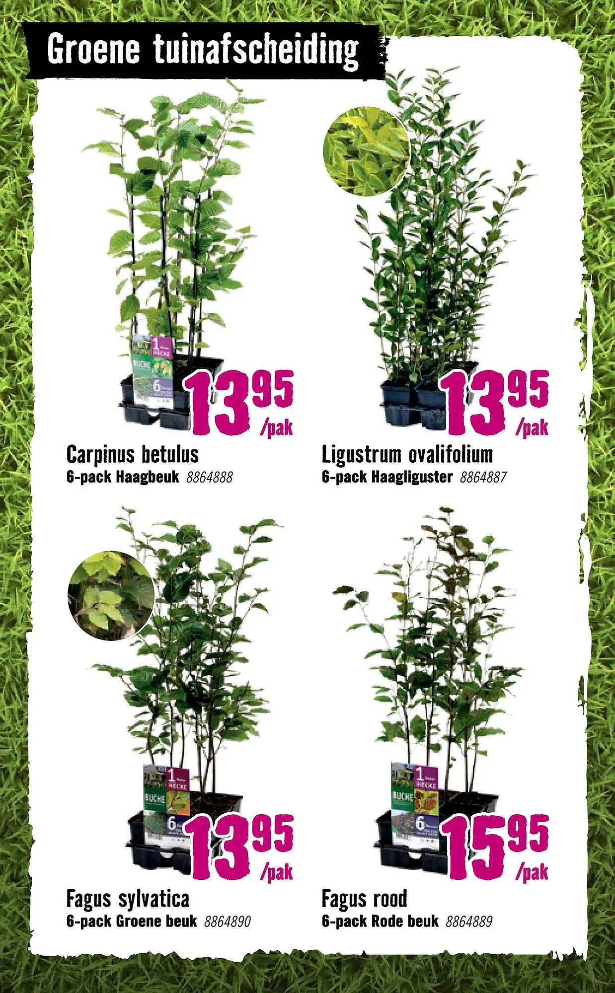 Hornbach folder van 9 maart tot 5 april 2026 - Folder pagina 37