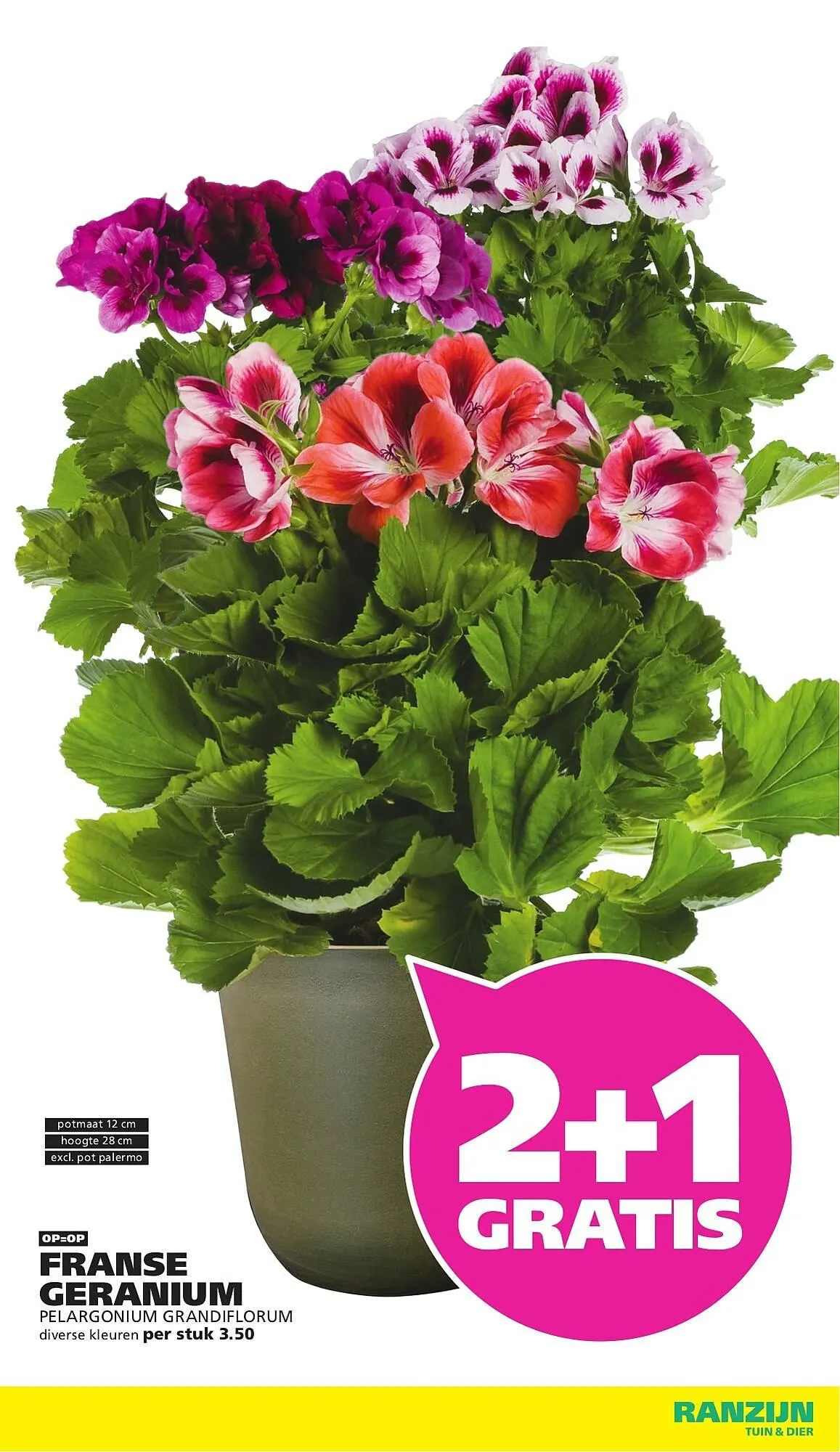 Ranzijn folder van 22 maart tot 28 maart 2026 - Folder pagina 9