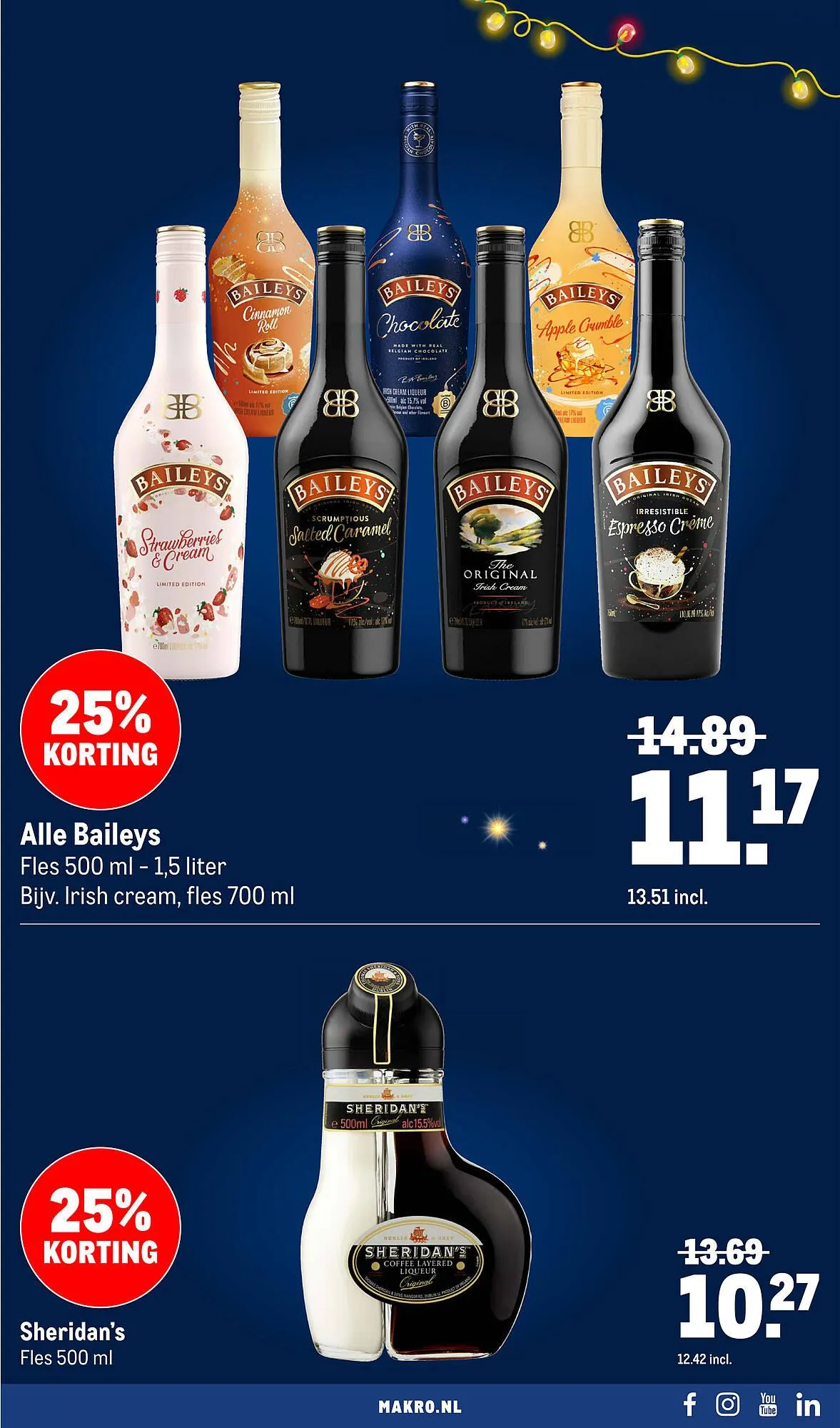 Makro folder van 10 december tot 31 december 2025 - Folder pagina 41