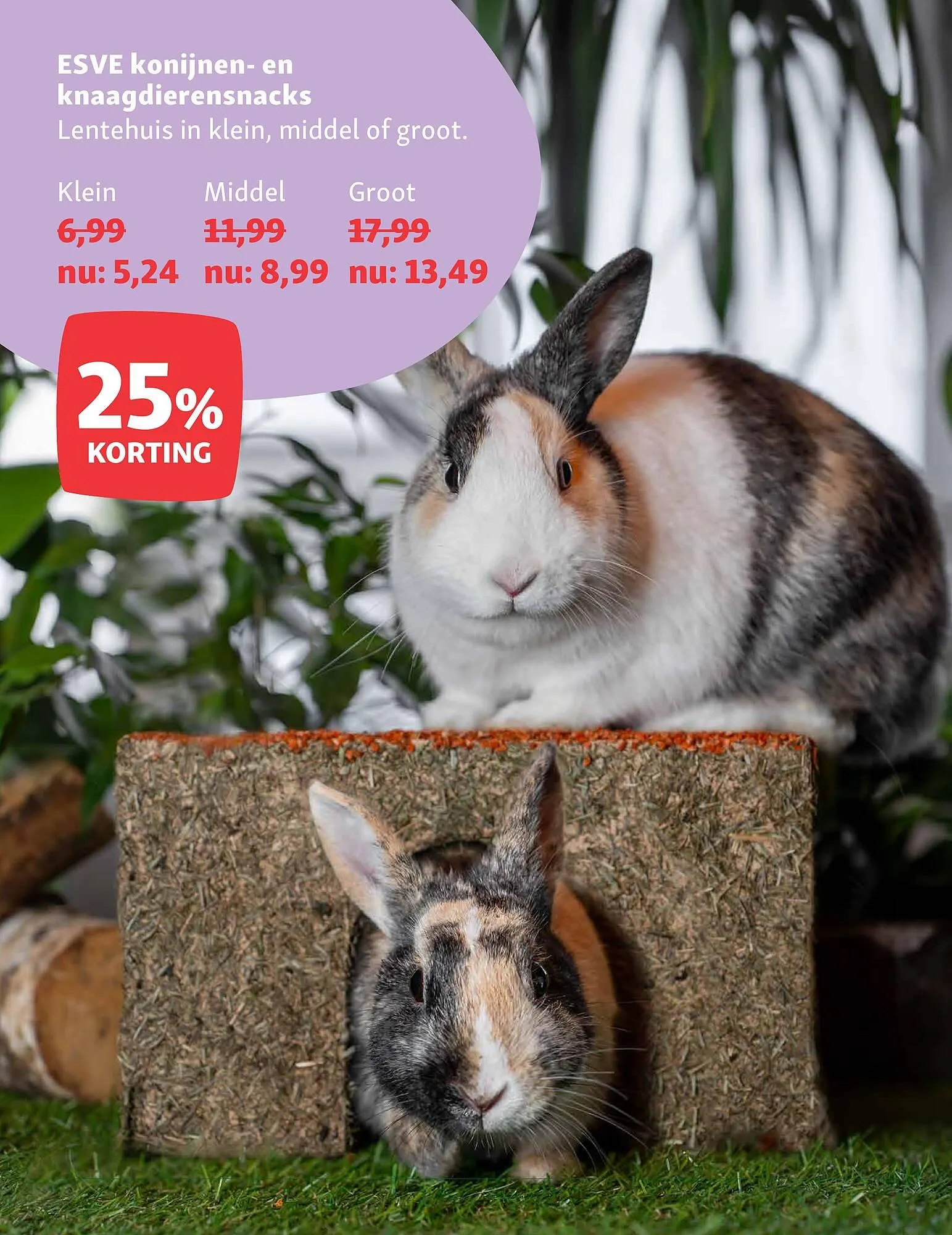 Maxi Zoo folder van 15 december tot 28 december 2025 - Folder pagina 22