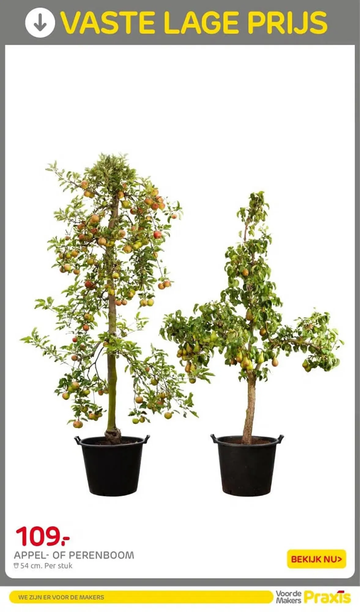 Praxis folder van 7 april tot 12 april 2026 - Folder pagina 30