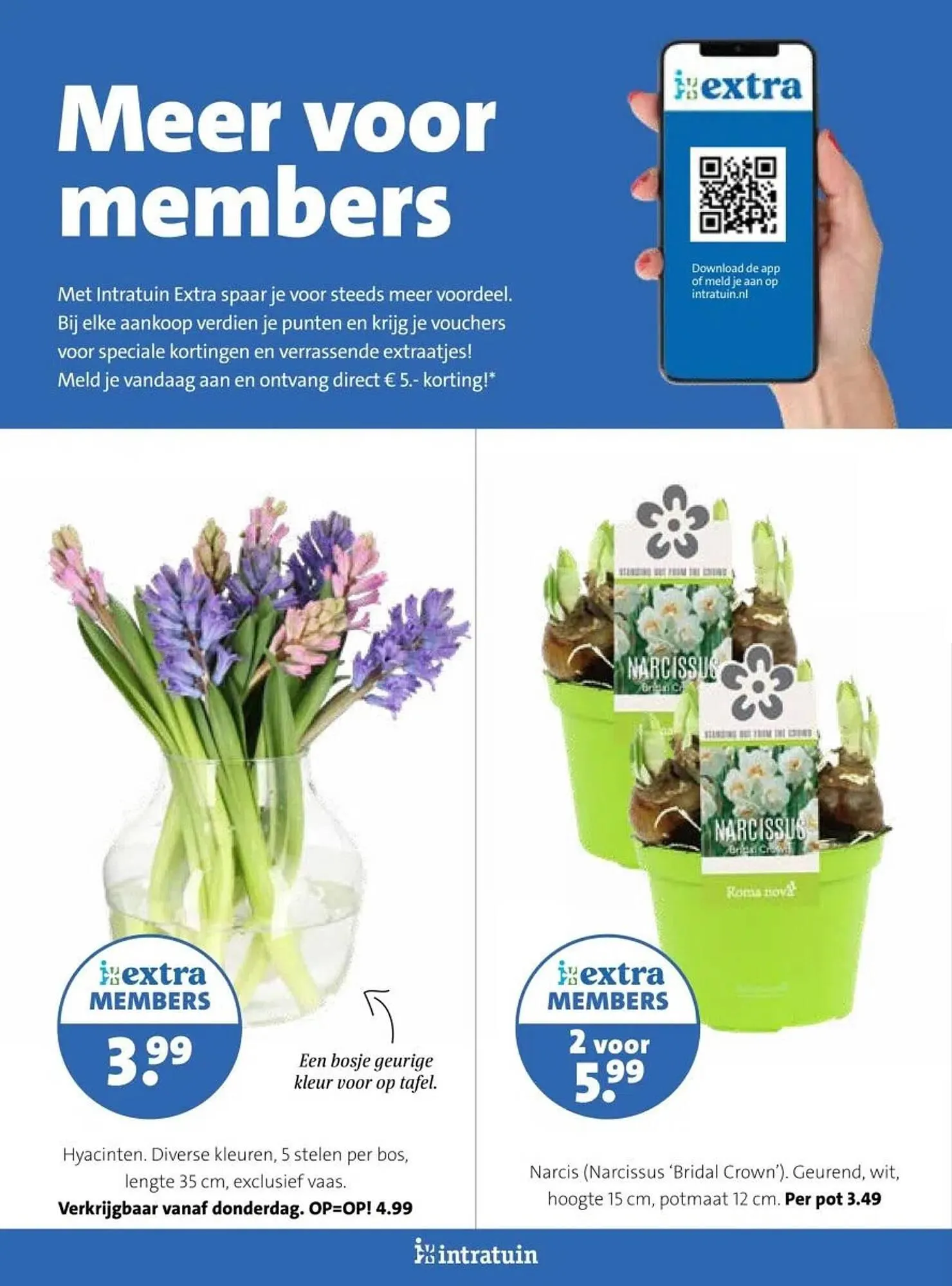 Intratuin folder van 16 februari tot 22 februari 2026 - Folder pagina 29