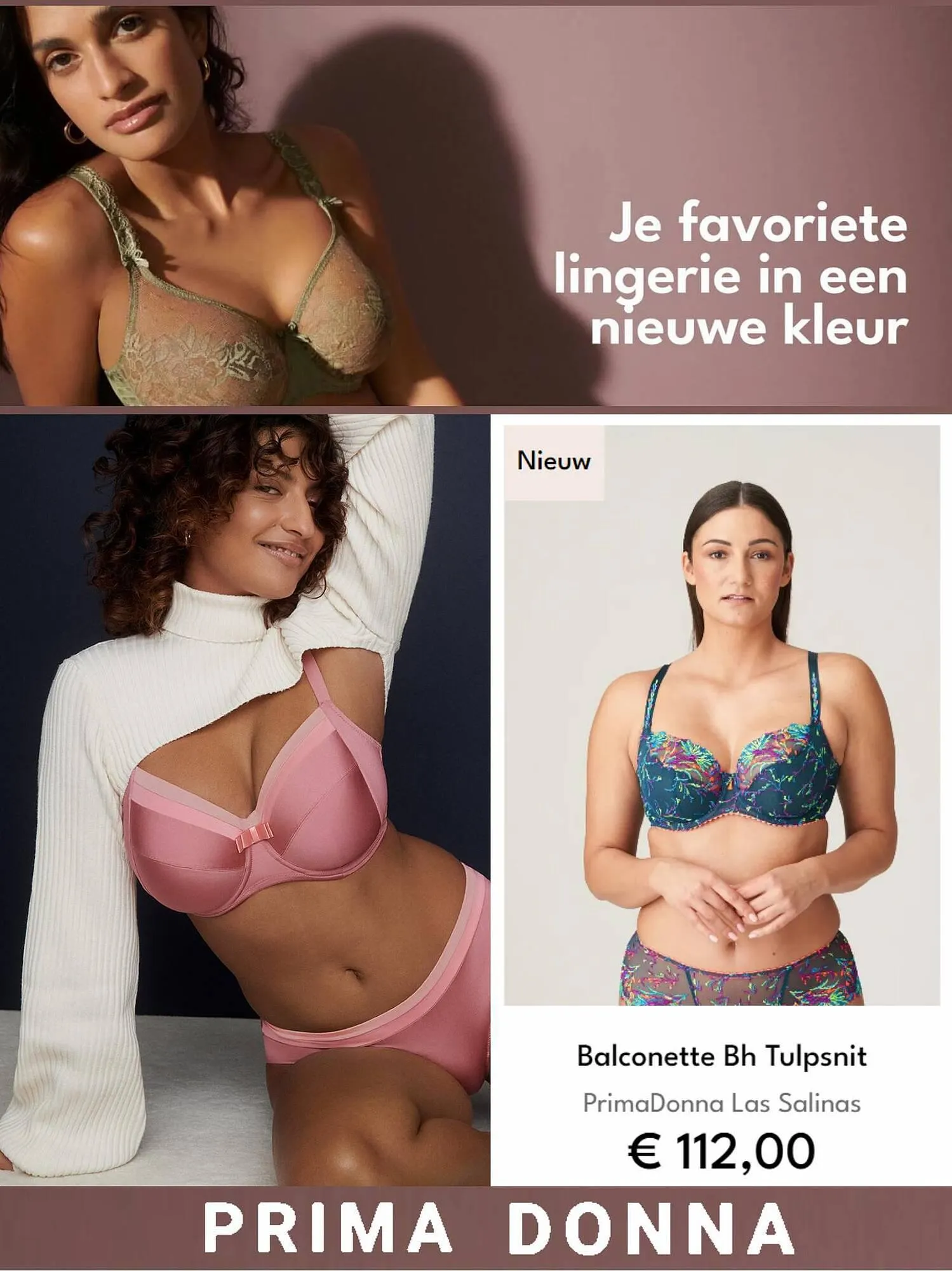 Primadonna folder - 1