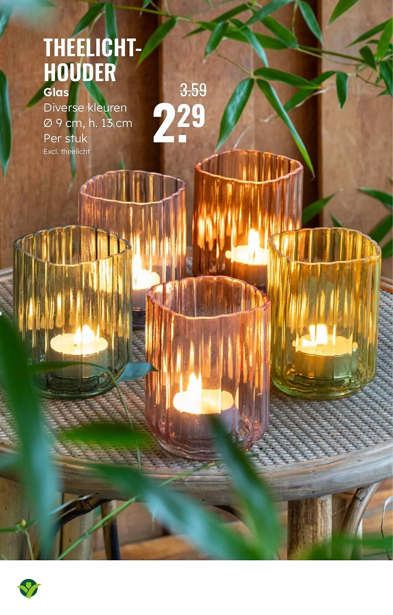 GroenRijk folder van 5 maart tot 18 maart 2025 - Folder pagina 17