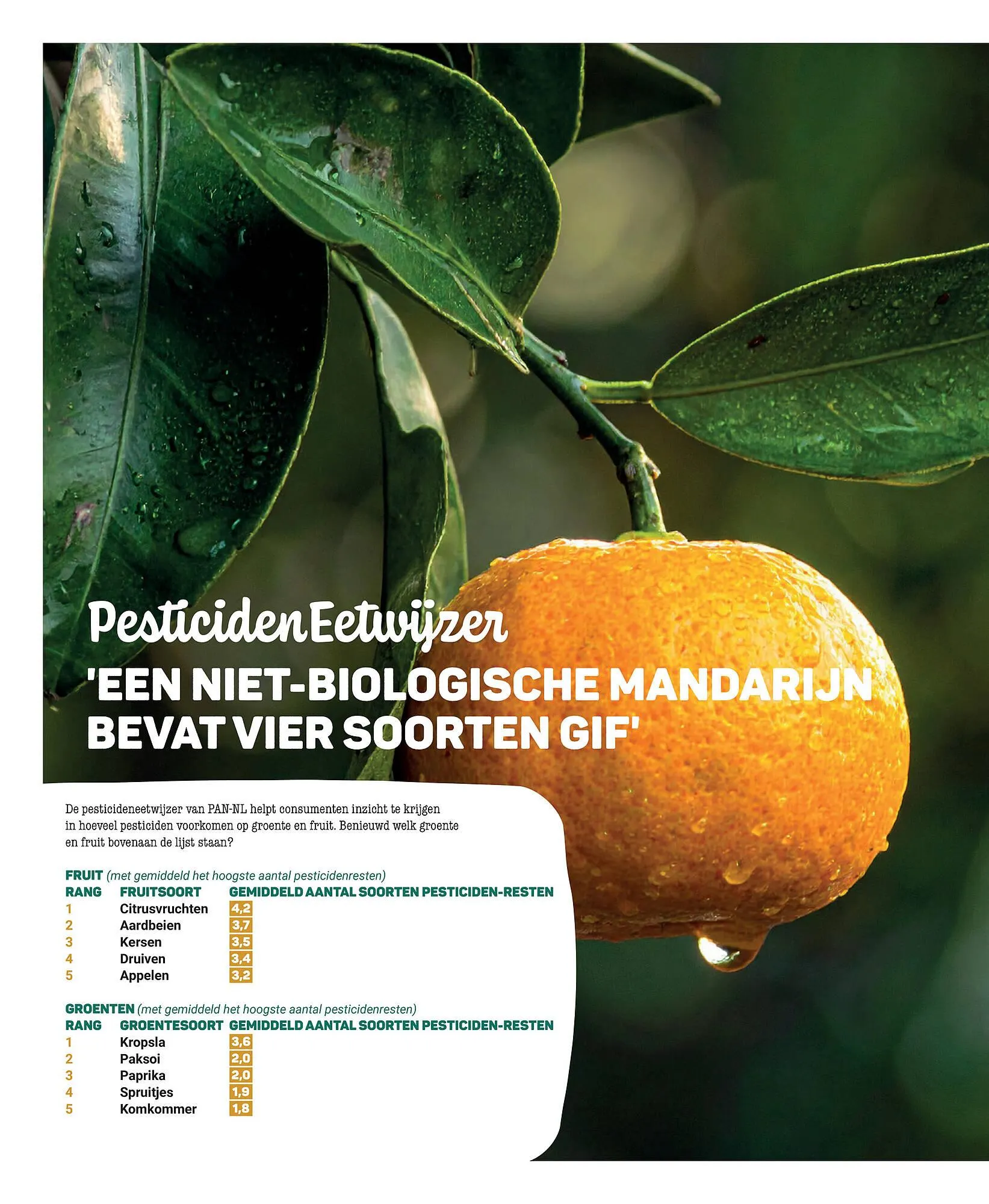 Ekoplaza magazine van 25 november tot 31 januari 2026 - Folder pagina 60
