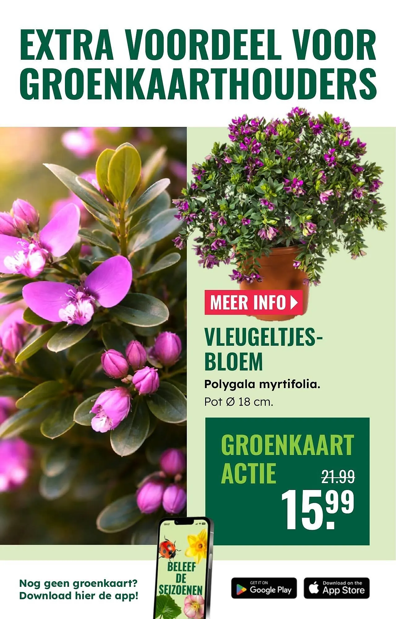 GroenRijk folder van 19 maart tot 25 maart 2026 - Folder pagina 3