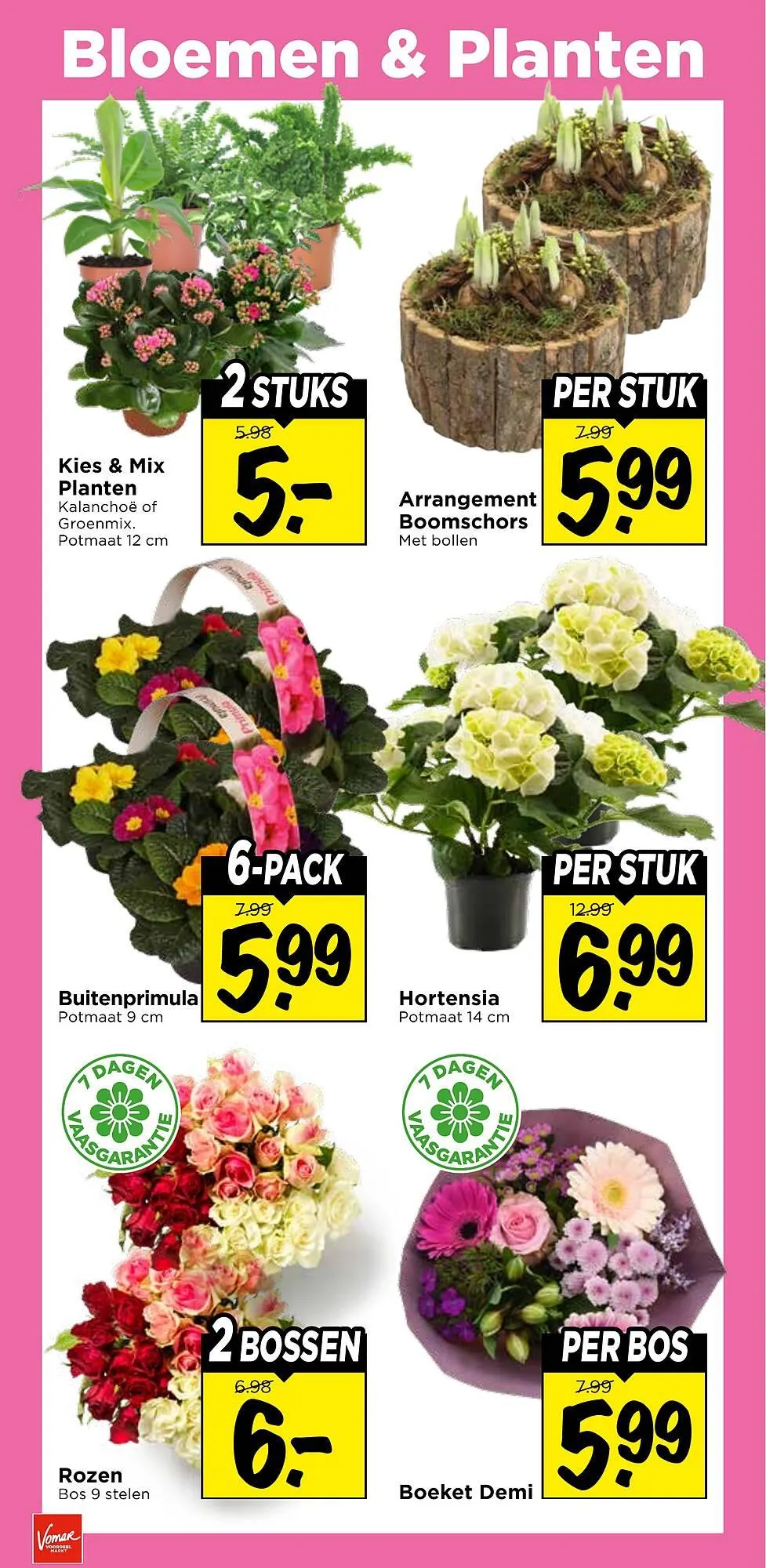Vomar Voordeelmarkt folder van 25 januari tot 31 januari 2026 - Folder pagina 30