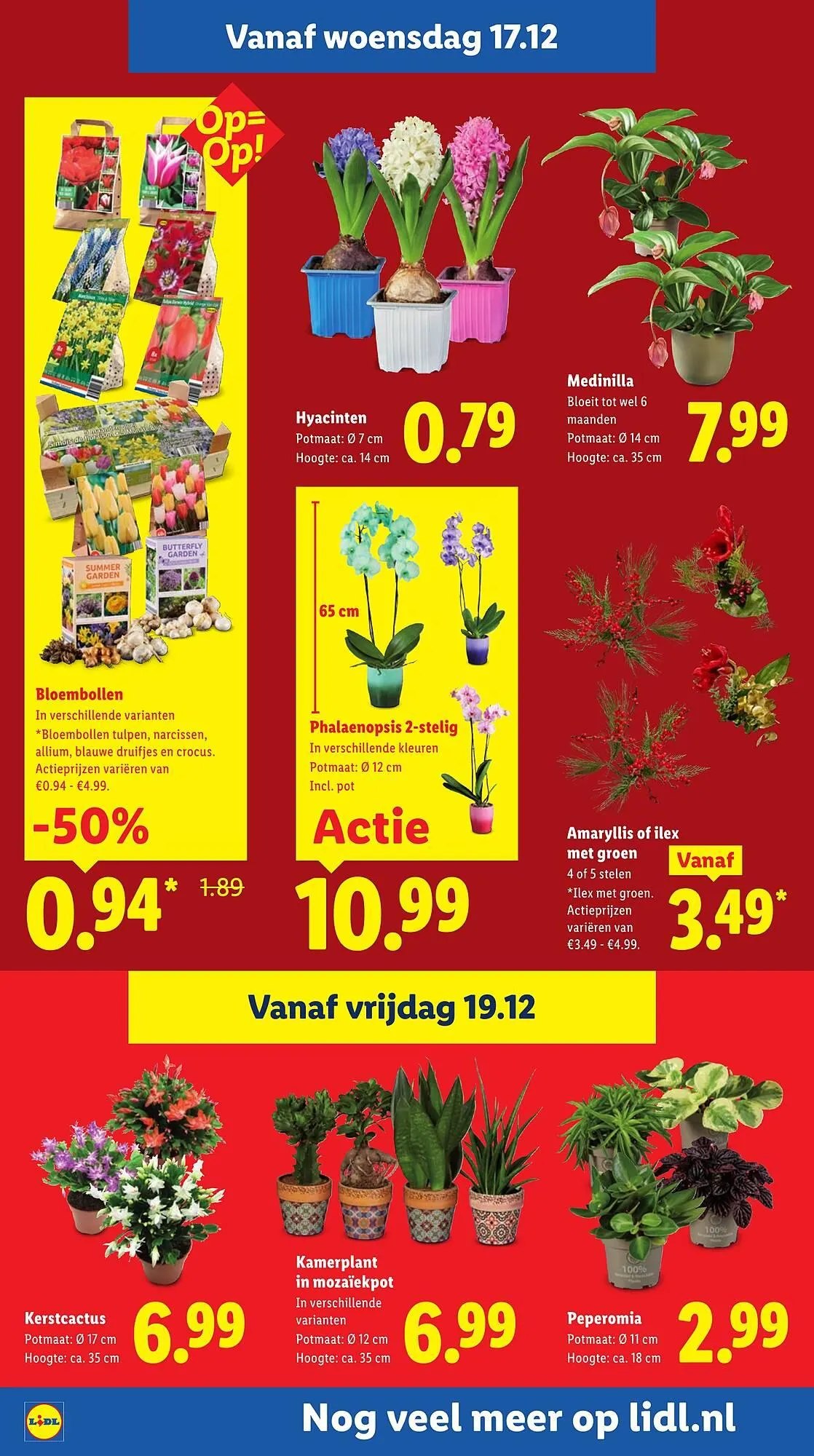 Lidl folder van 15 december tot 21 december 2025 - Folder pagina 24