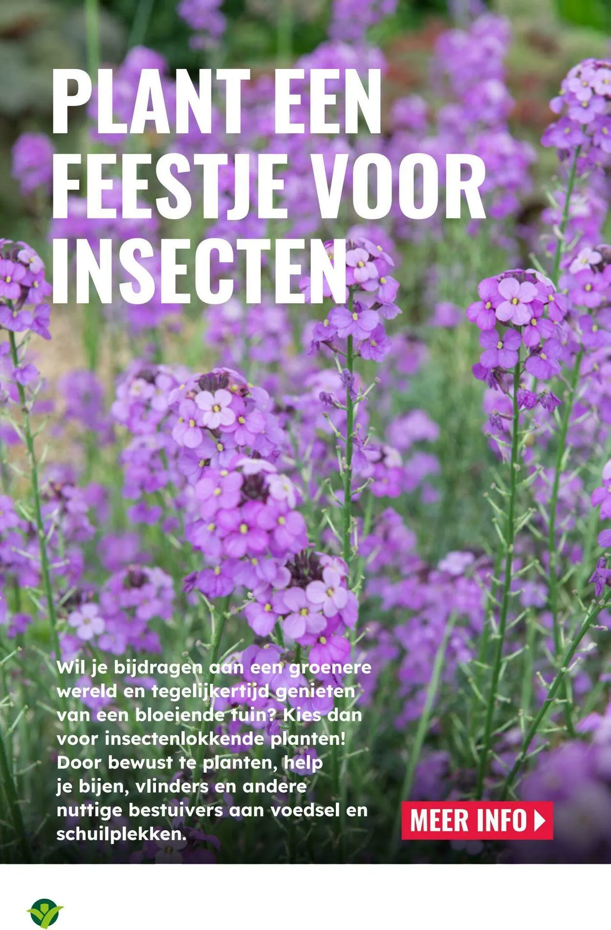 GroenRijk Actuele folder van 10 juni tot 24 juni 2025 - Folder pagina 10