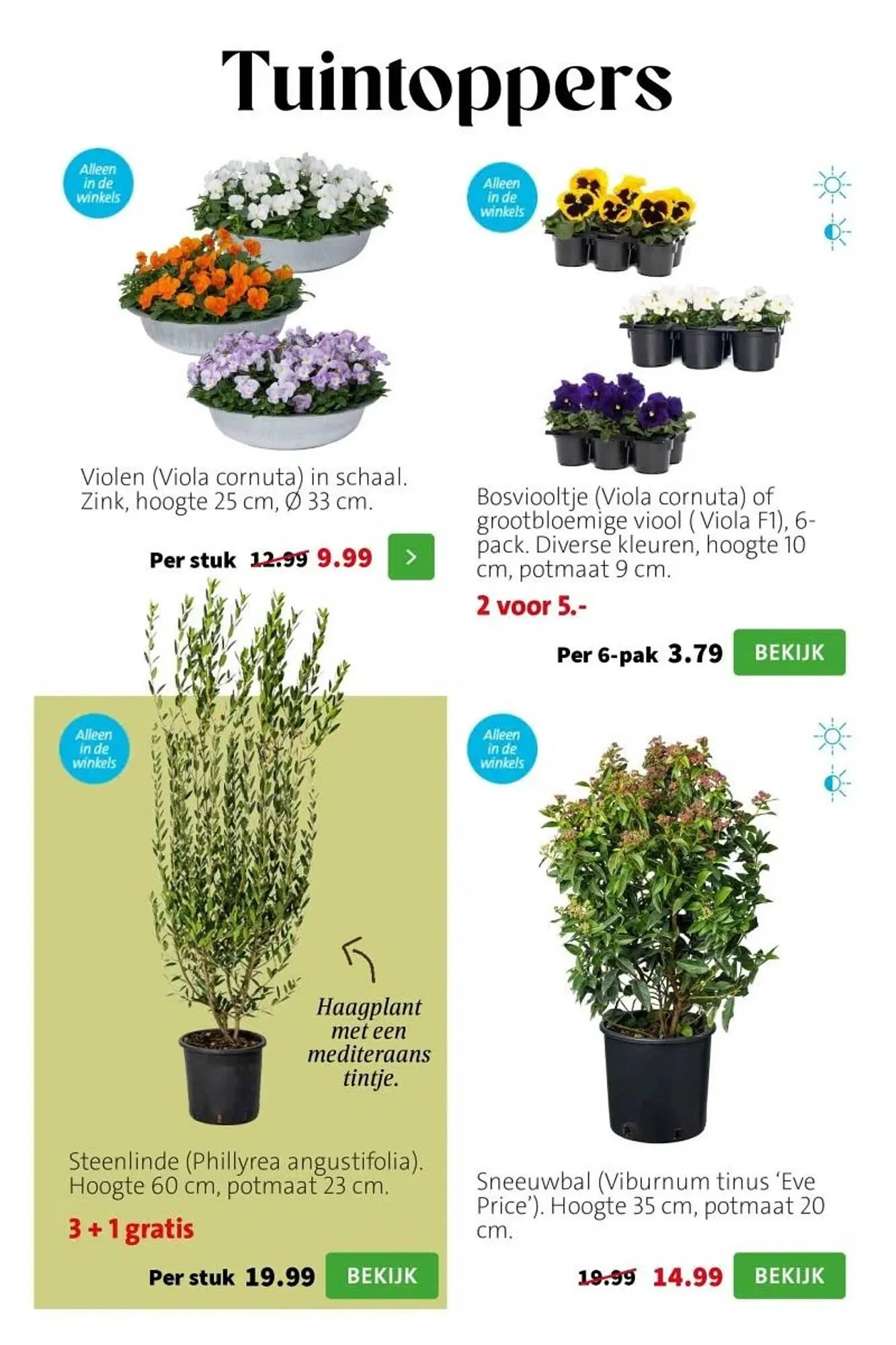 Intratuin folder van 23 februari tot 1 maart 2026 - Folder pagina 2
