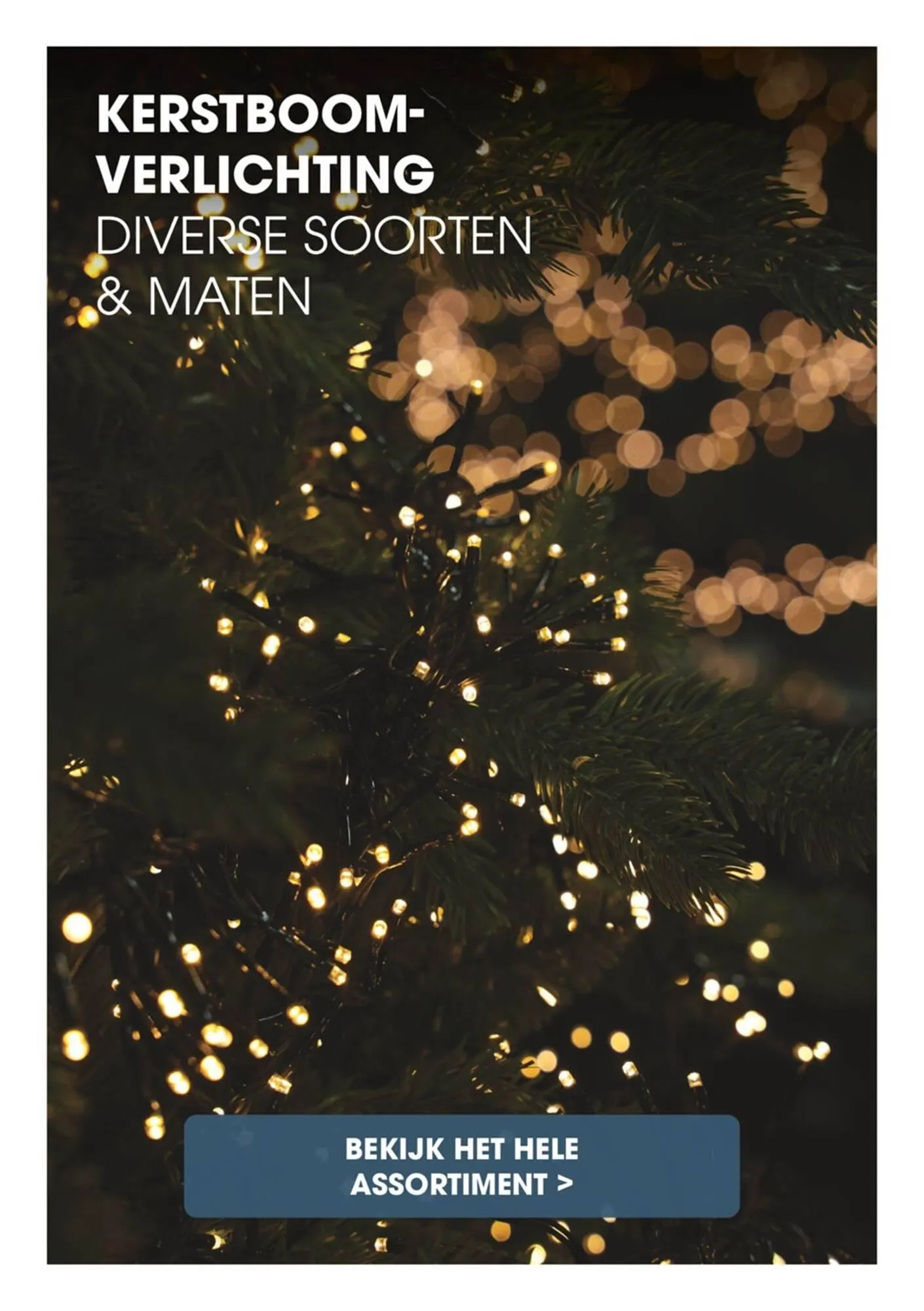 Coppelmans folder van 18 november tot 24 december 2025 - Folder pagina 4