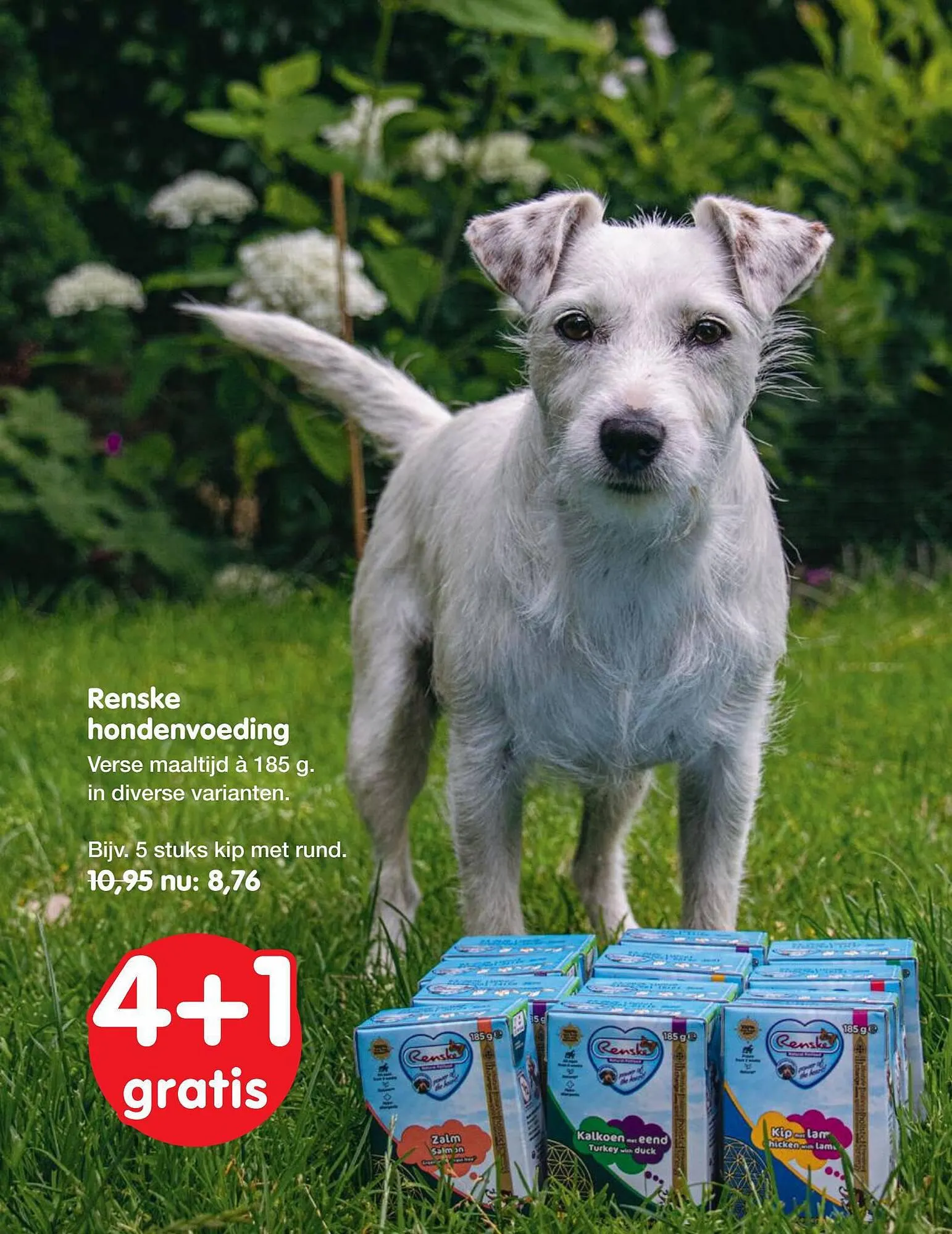 Jumper folder van 19 oktober tot 5 november 2023 - Folder pagina 9