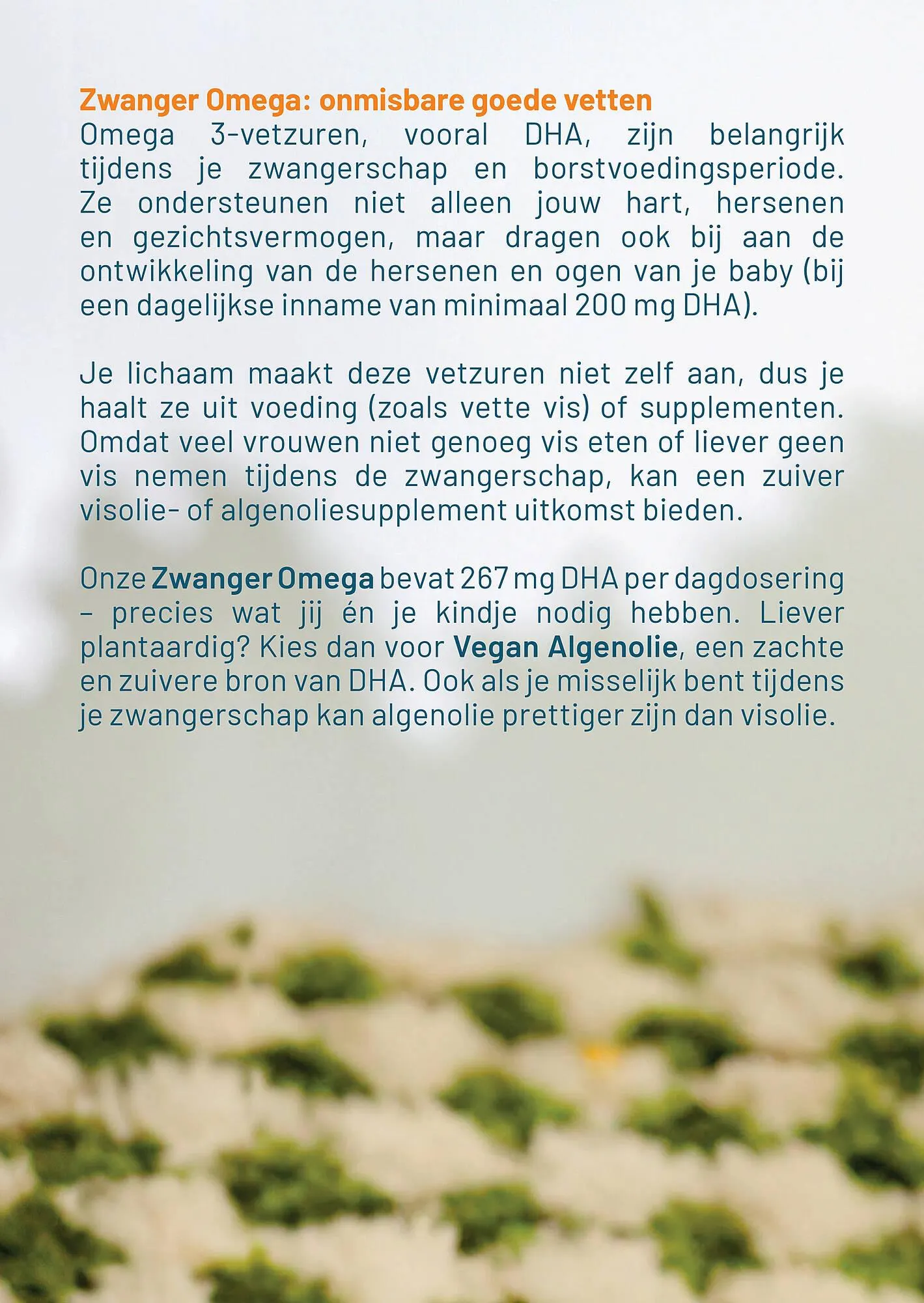 Vitaminstore folder van 8 december tot 31 januari 2026 - Folder pagina 19