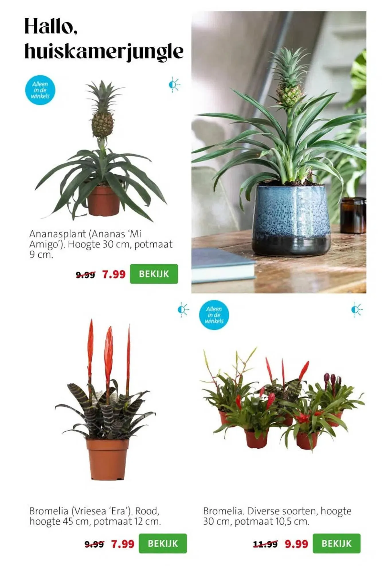 Intratuin folder van 6 april tot 12 april 2026 - Folder pagina 8