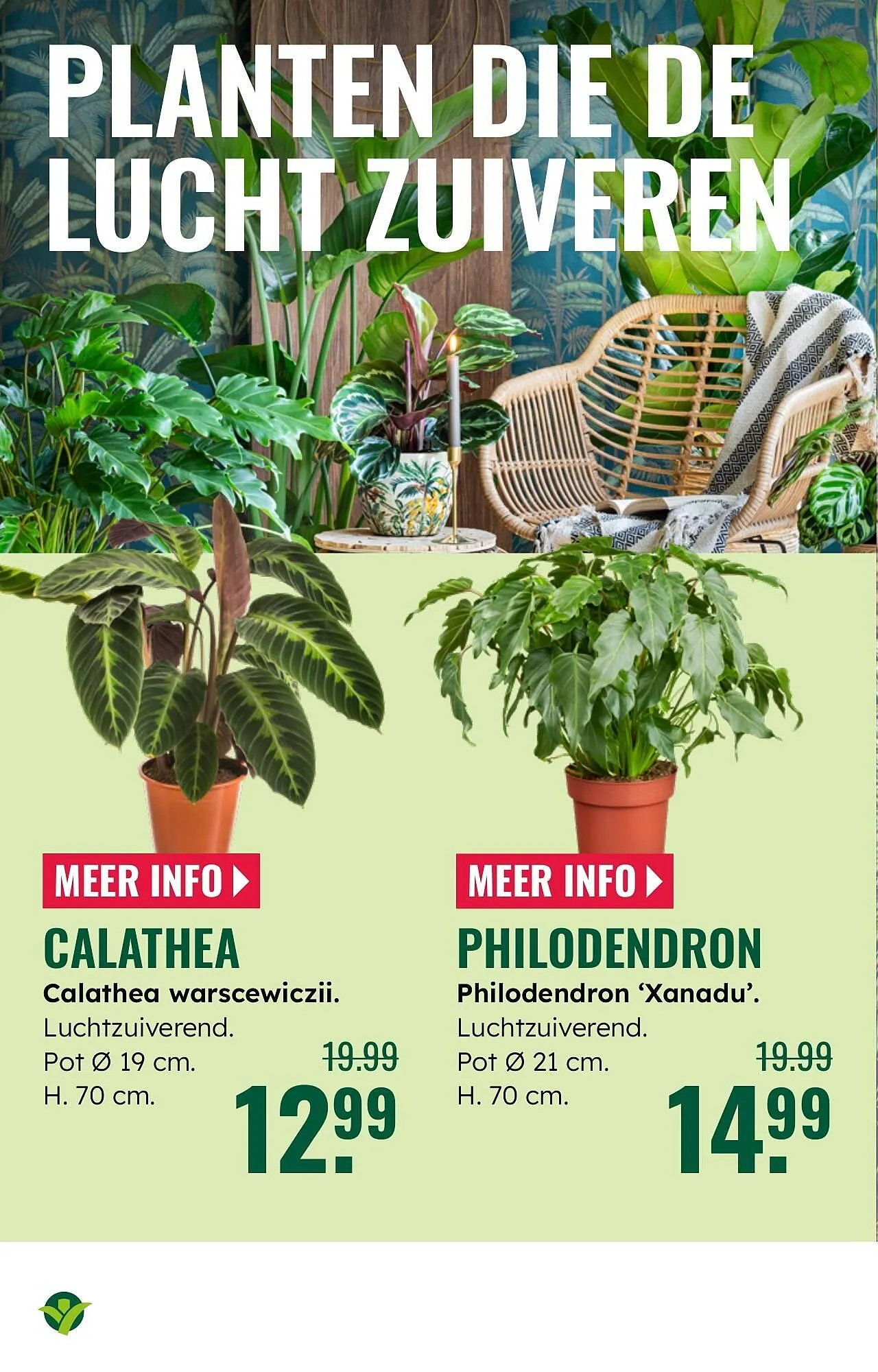 GroenRijk folder van 1 oktober tot 7 oktober 2025 - Folder pagina 10