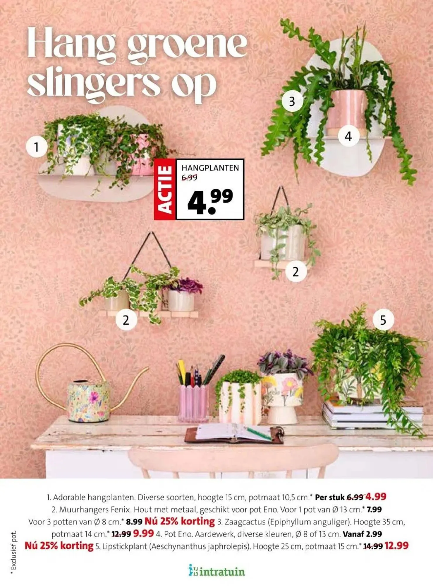 Intratuin folder van 16 februari tot 22 februari 2026 - Folder pagina 23