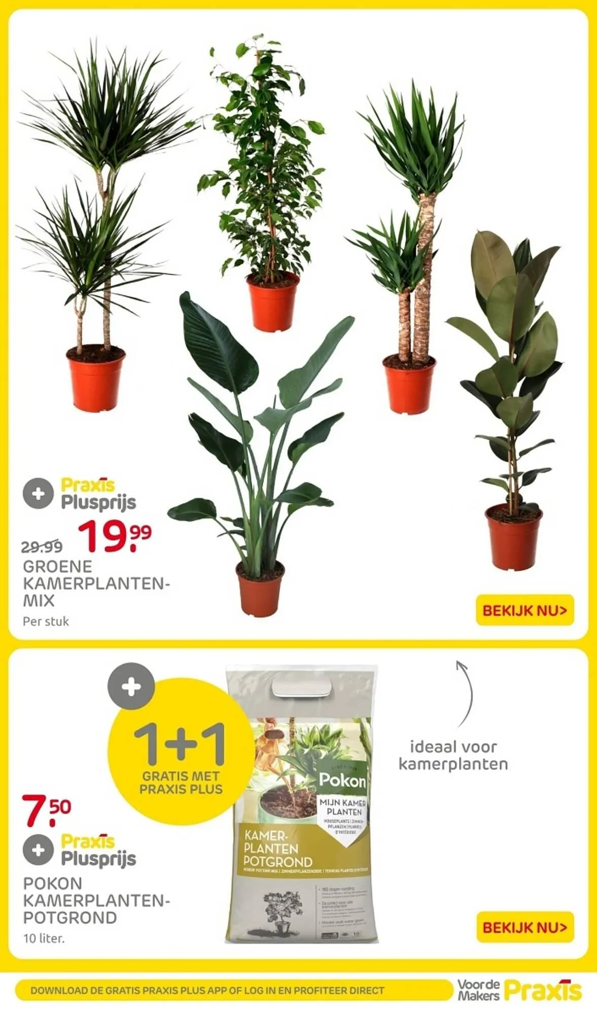 Praxis folder van 29 december tot 4 januari 2026 - Folder pagina 50